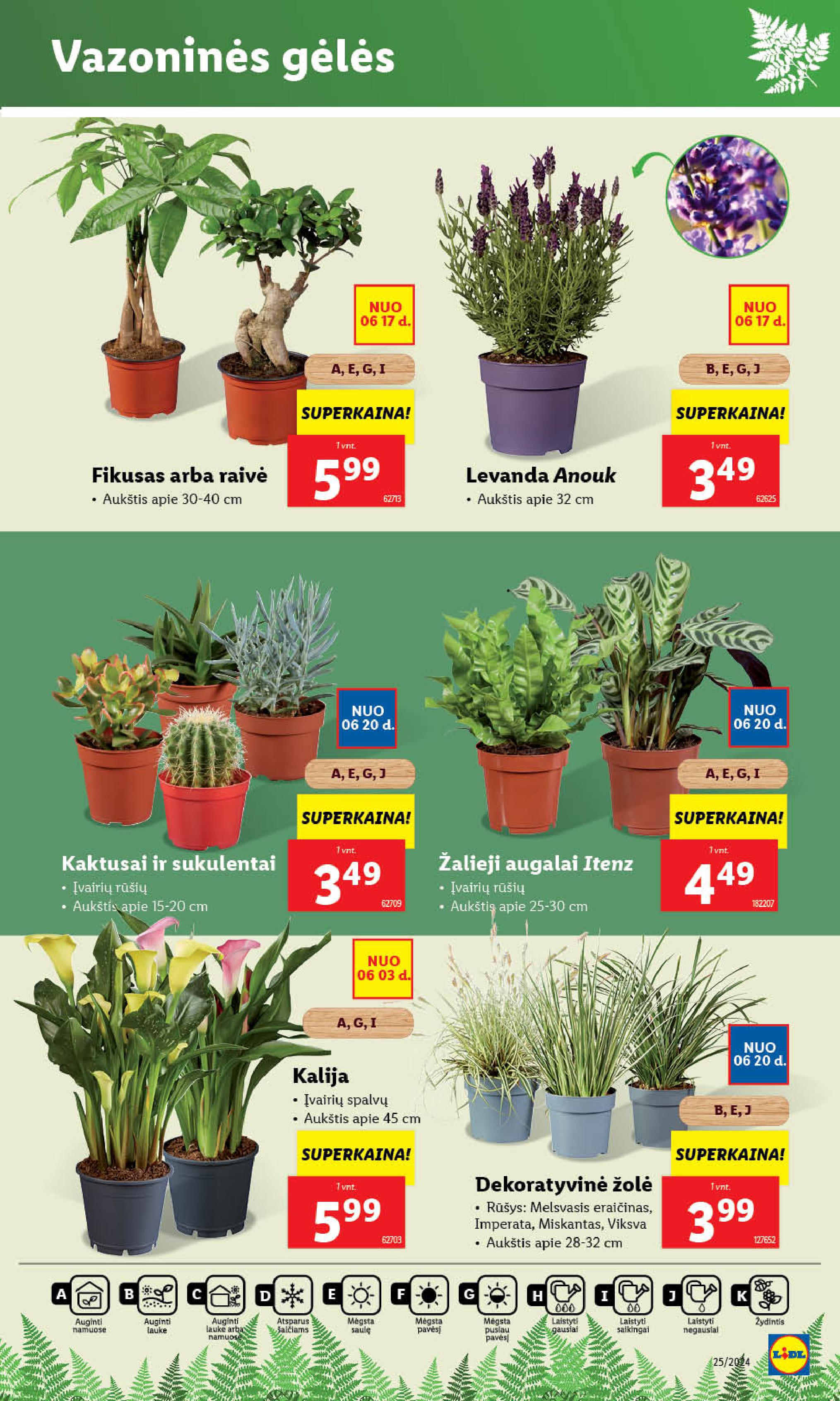 Naujausias LIDL kaininis katalogas 2024.06.17 - 2024.06.23