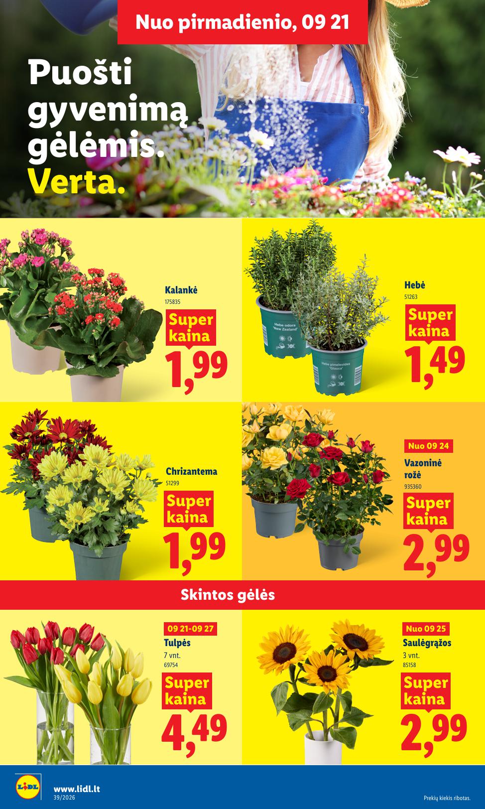 Naujausias LIDL kaininis katalogas 2026.09.21 - 2026.09.27