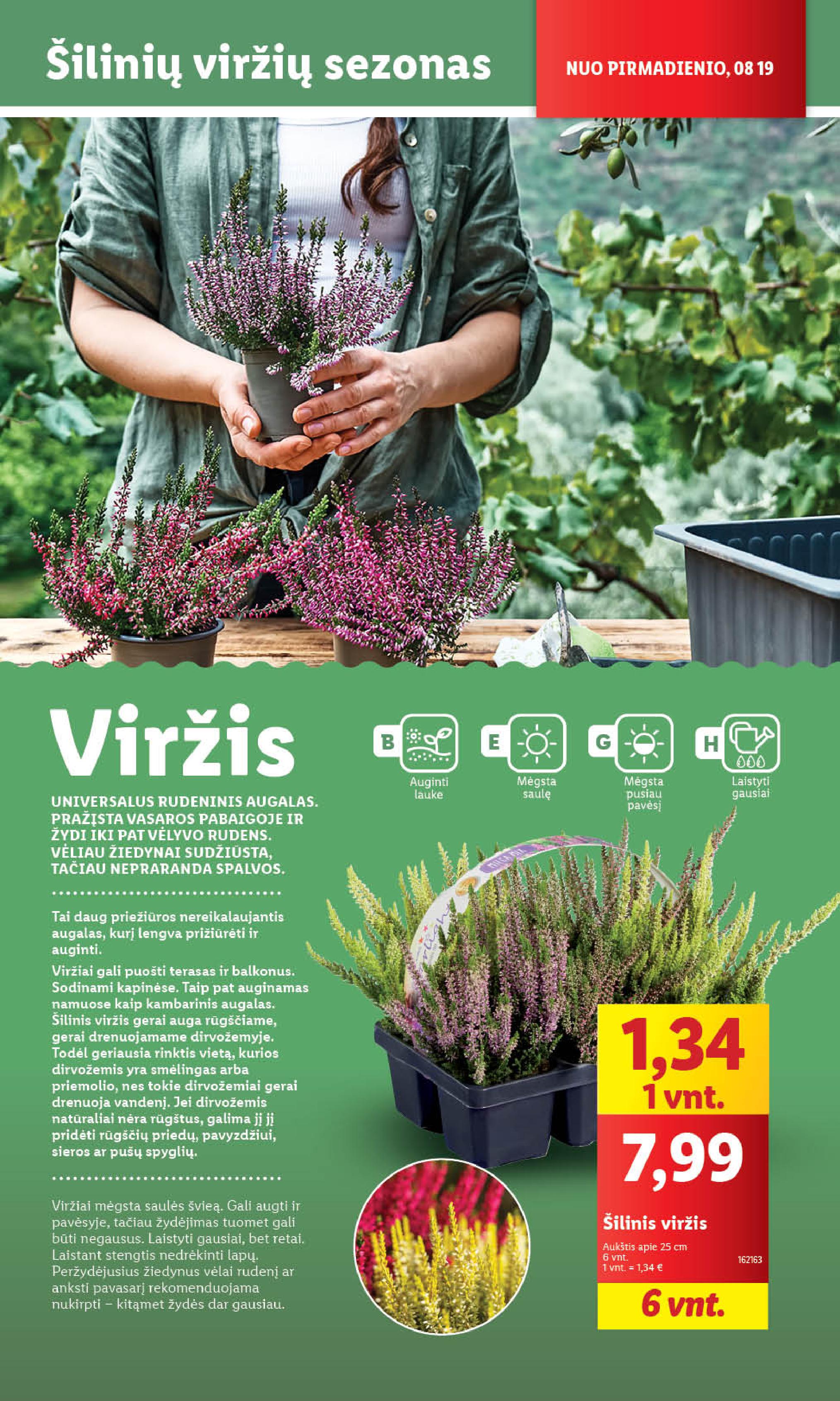 Naujausias LIDL kaininis katalogas 2024.08.19 - 2024.08.25