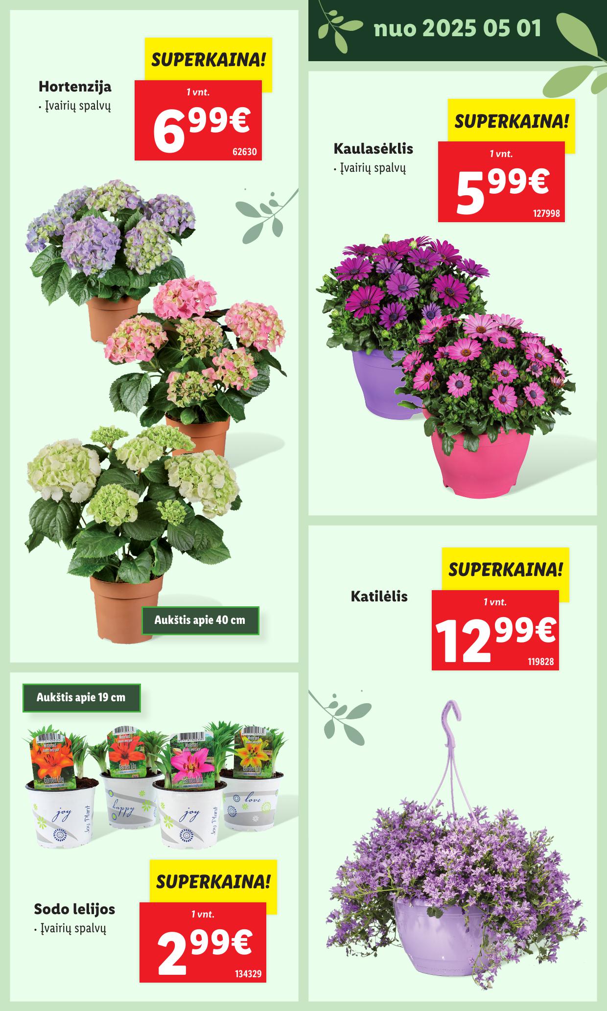 LIDL katalogas "Švenčiame sodą" galioja nuo 2025.05.12
