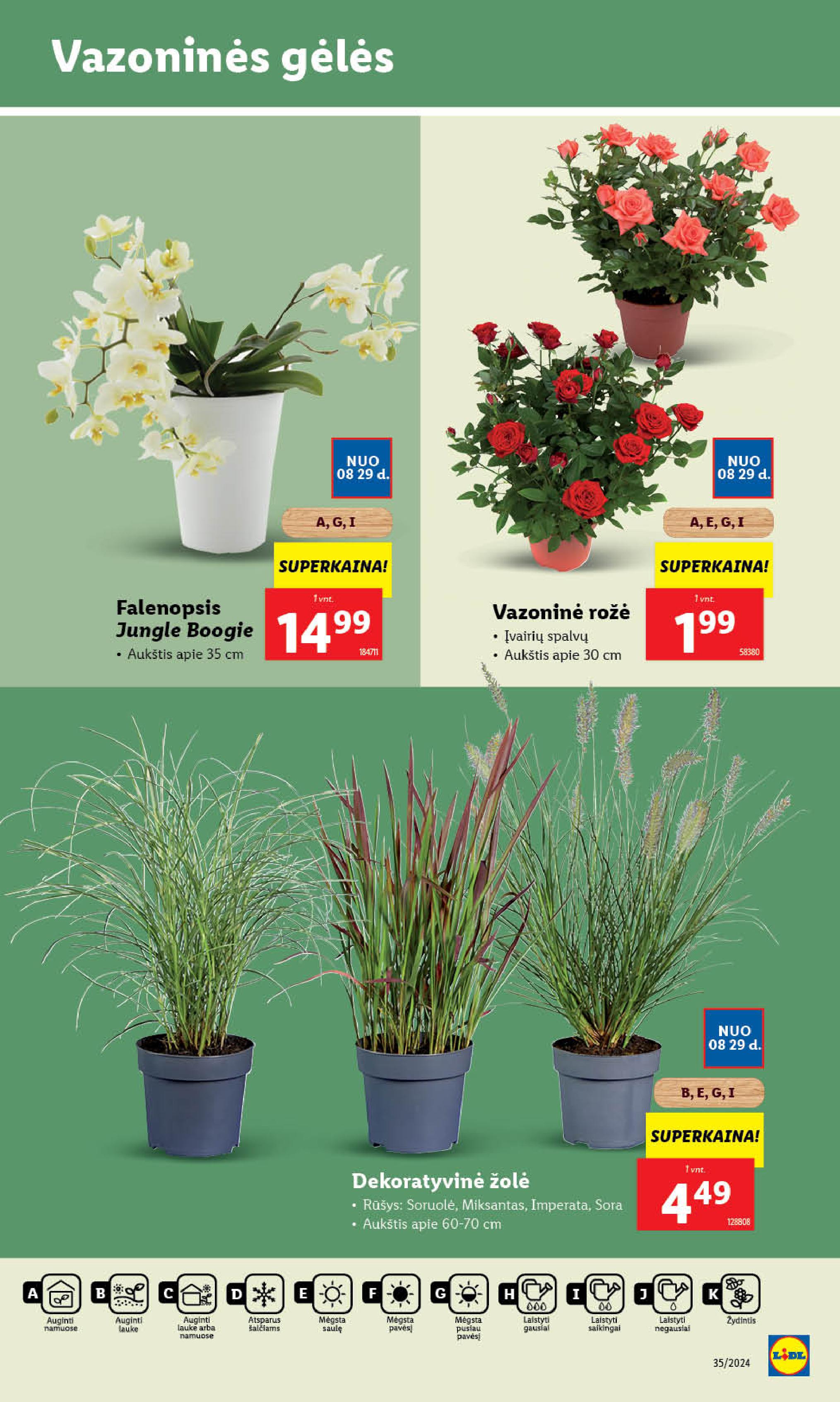 Naujausias LIDL kaininis katalogas 2024.08.26 - 2024.09.01