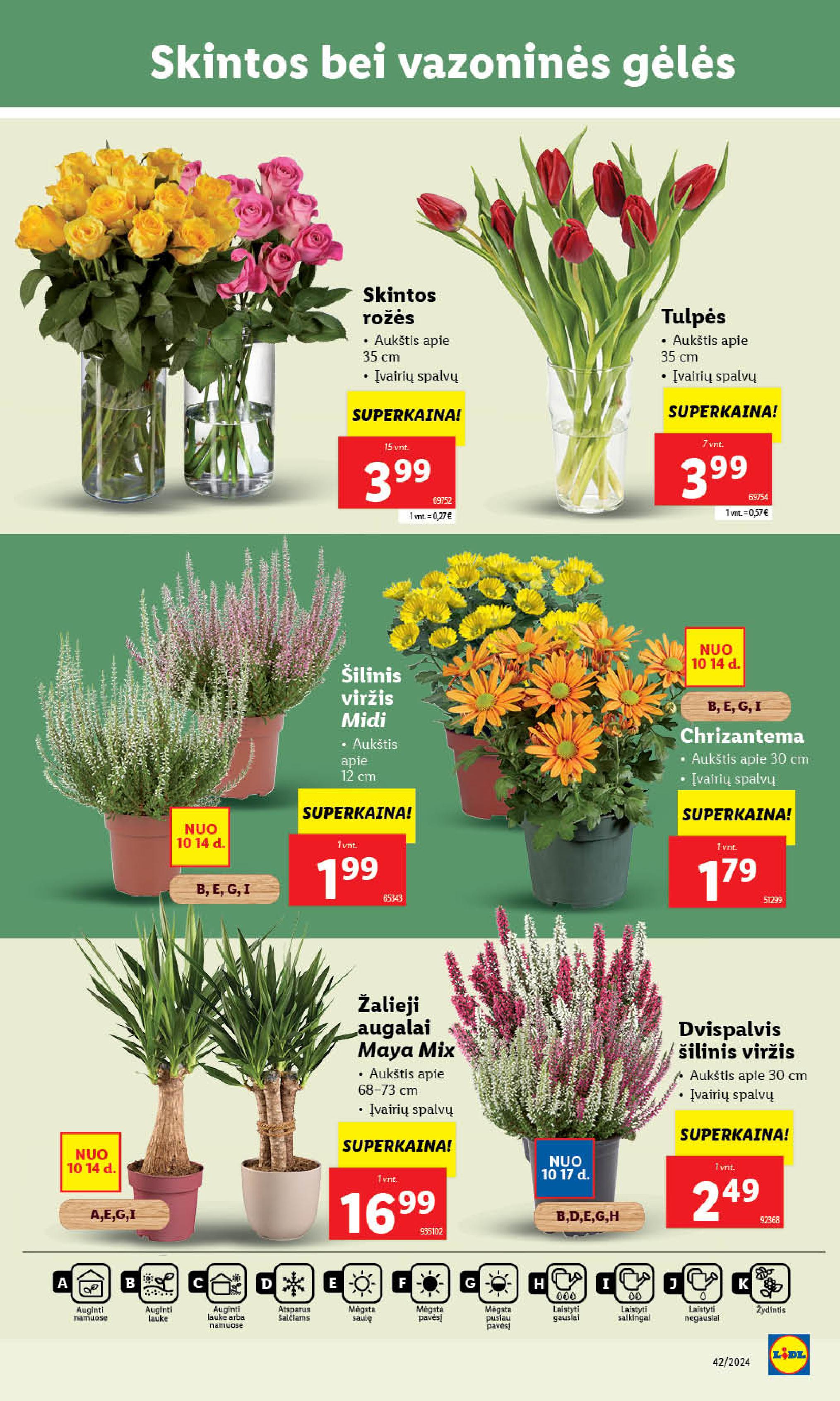 Naujausias LIDL kaininis katalogas 2024.10.14 - 2024.10.20