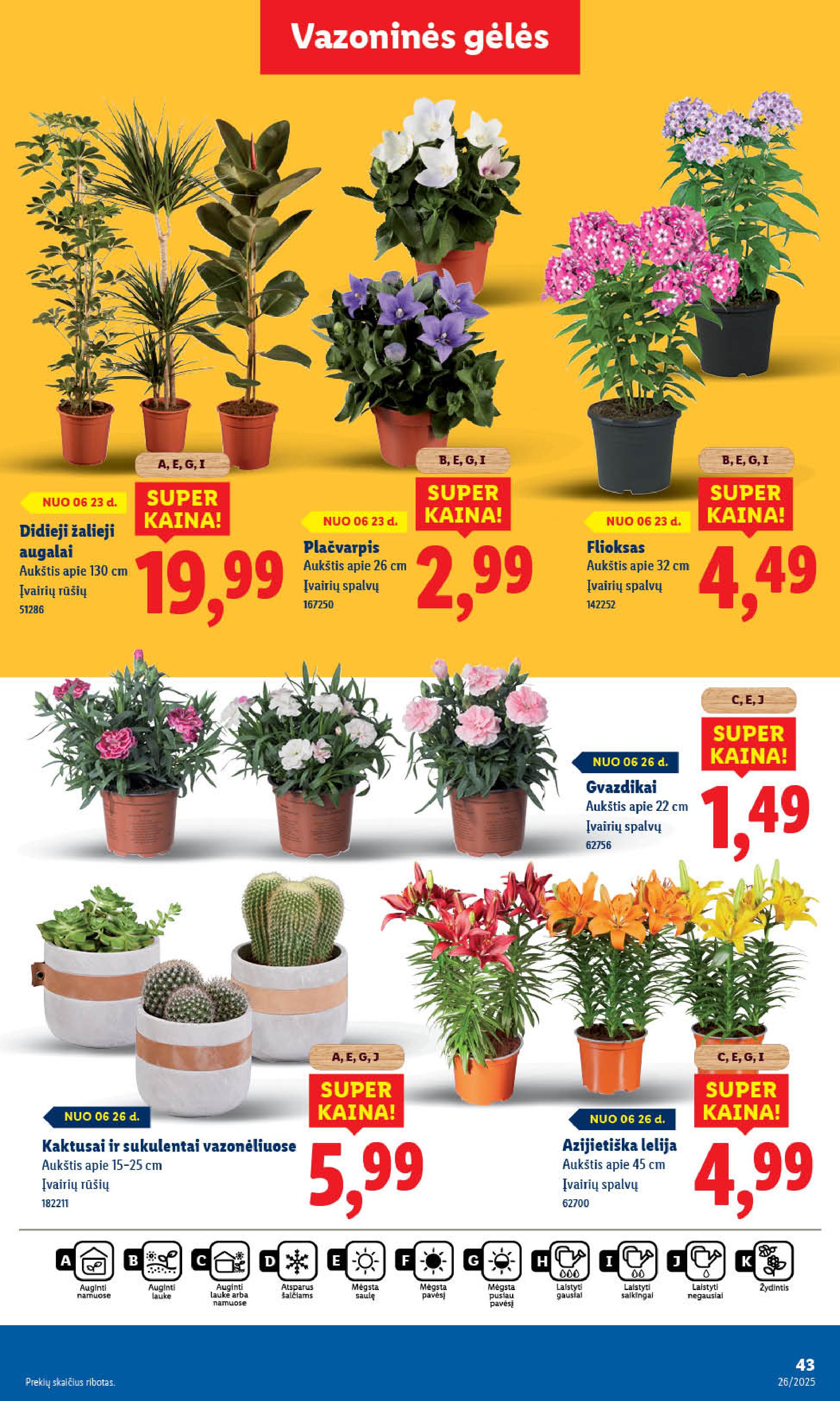 Naujausias LIDL kaininis katalogas 2025.06.23 - 2025.06.29