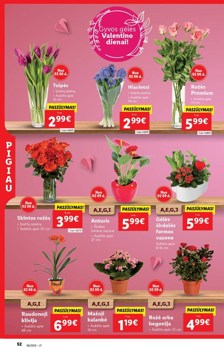 Naujausias LIDL kaininis katalogas 2023.02.06 - 2023.02.12