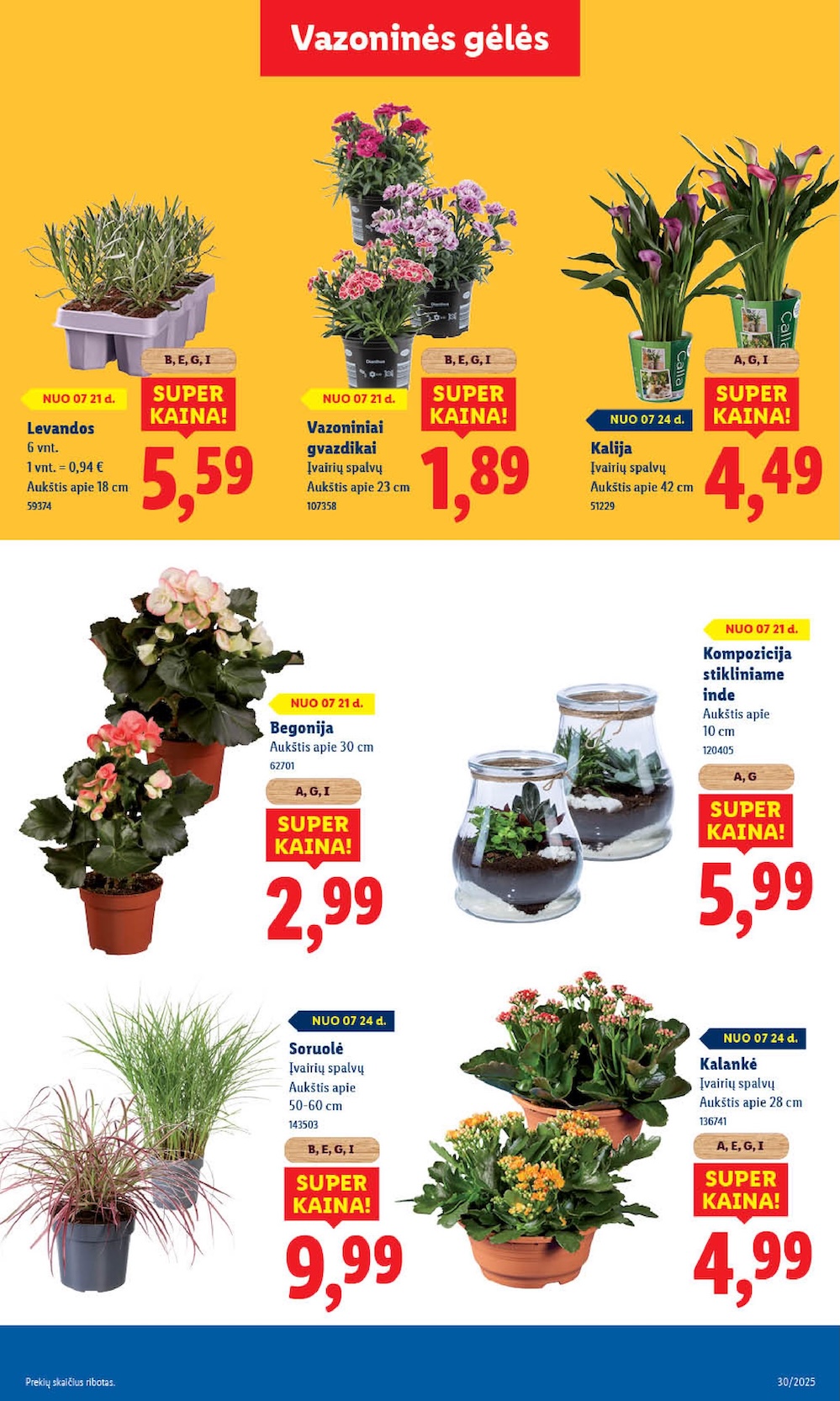 Naujausias LIDL kaininis katalogas 2025.07.21 - 2025.07.27