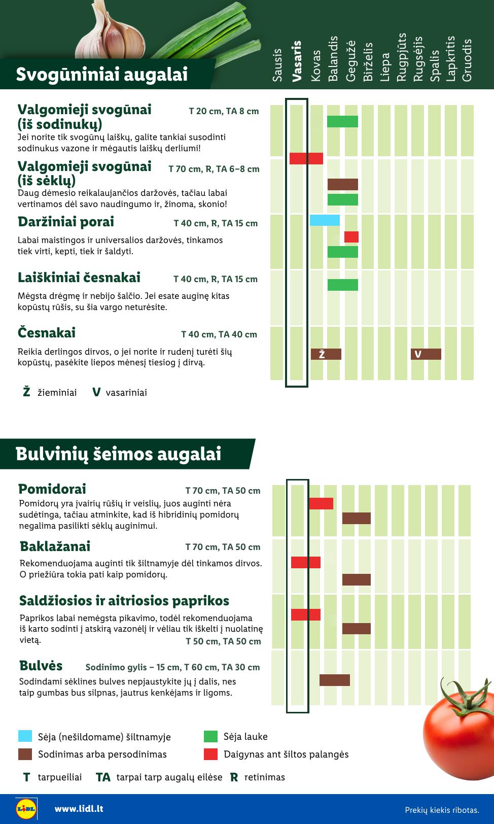 LIDL katalogas "Sodui valio !" galioja nuo 2026.02.16