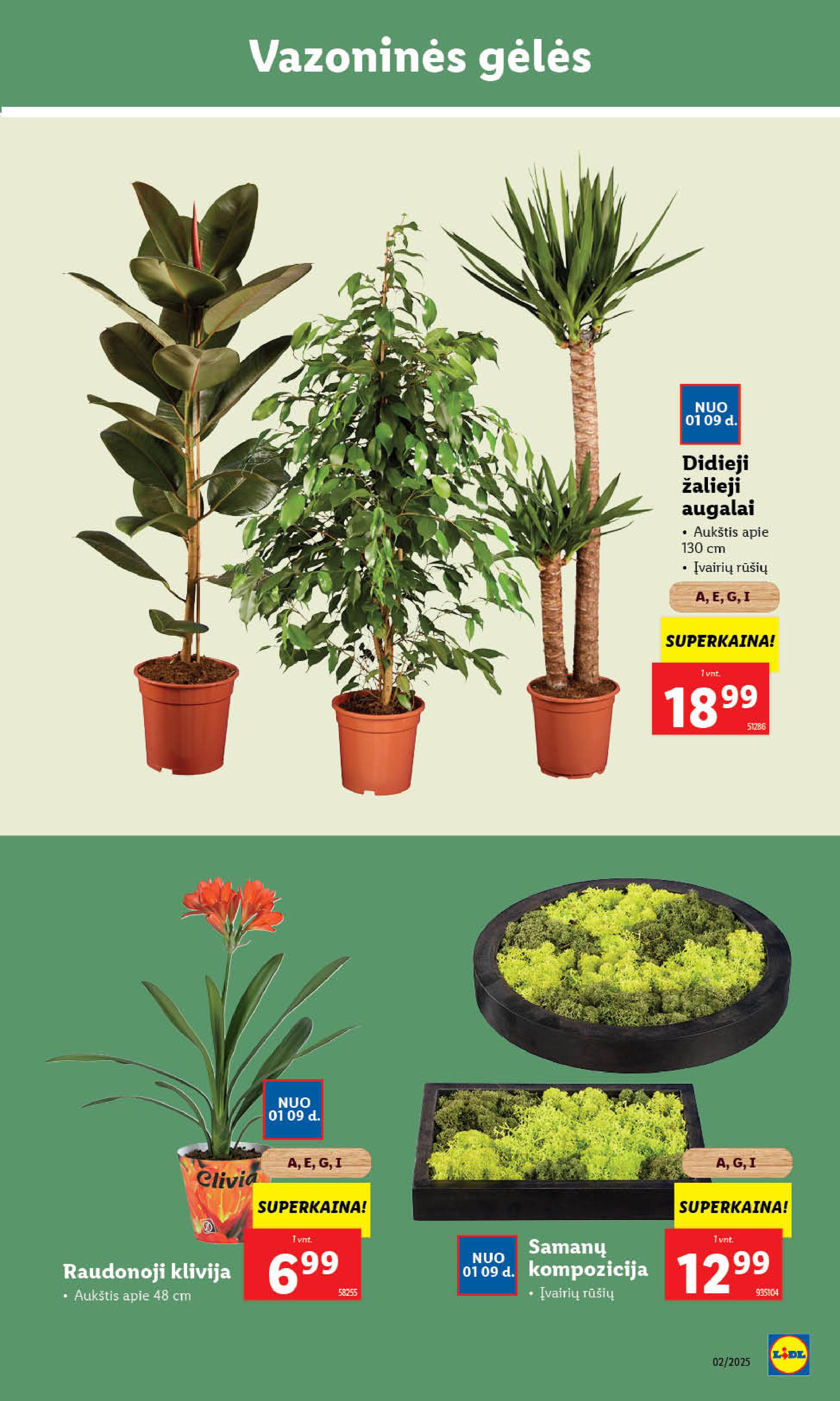 Naujausias LIDL kaininis katalogas 2025.01.06 - 2025.01.12