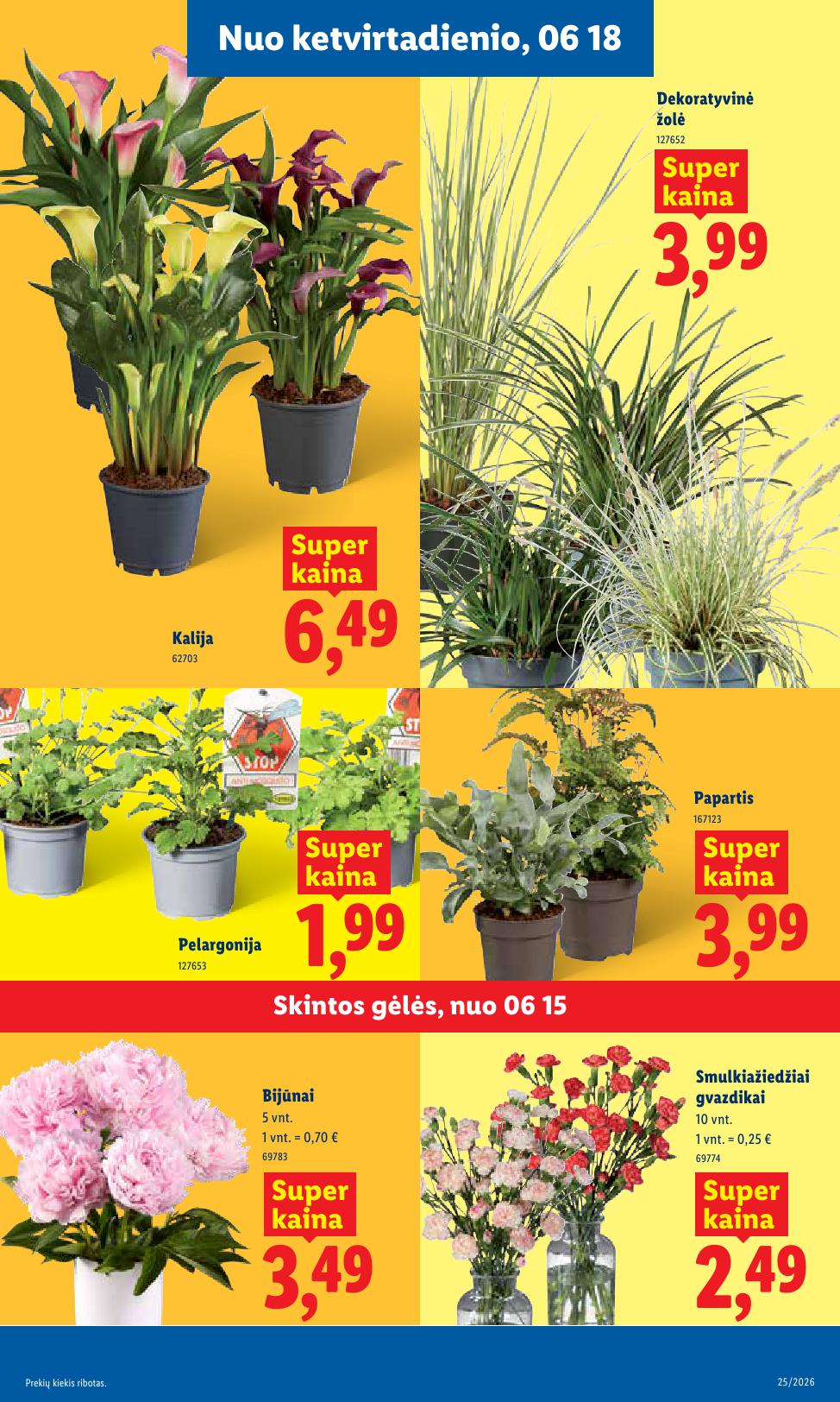 Naujausias LIDL kaininis katalogas 2026.06.15 - 2026.06.21