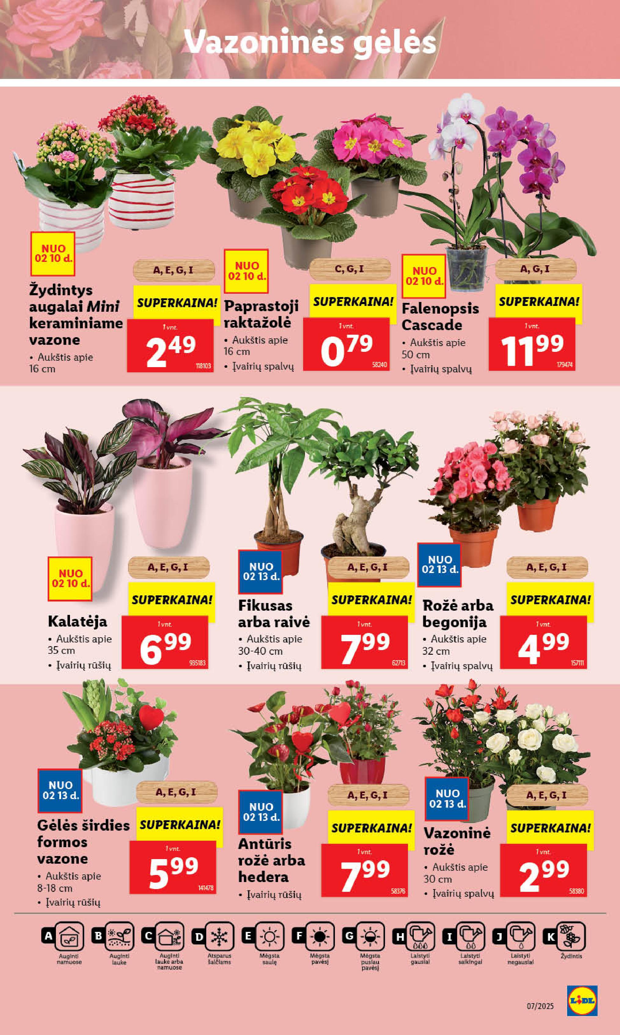 Naujausias LIDL kaininis katalogas 2025.02.10 - 2025.02.16