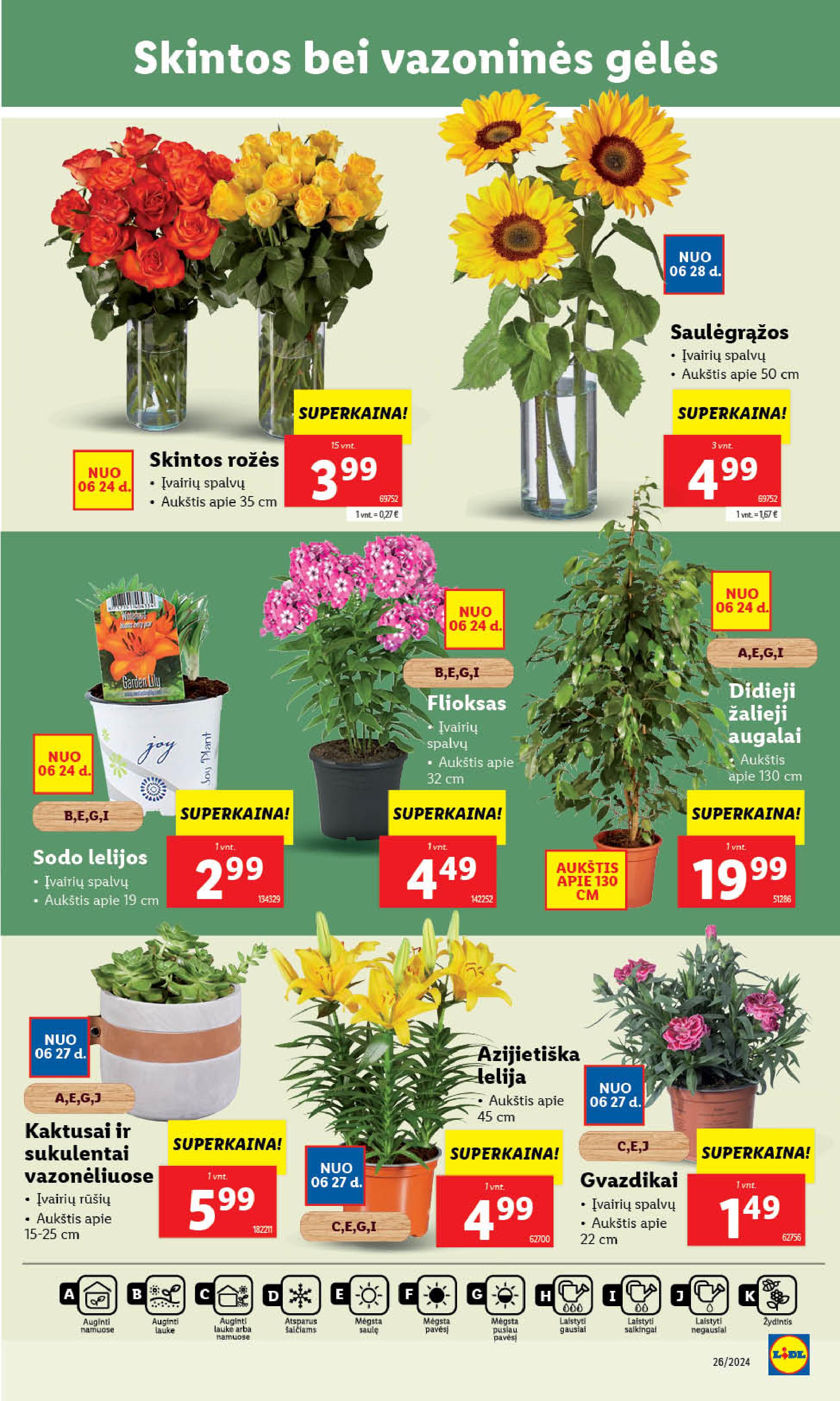 Naujausias LIDL kaininis katalogas 2024.06.24 - 2024.06.30