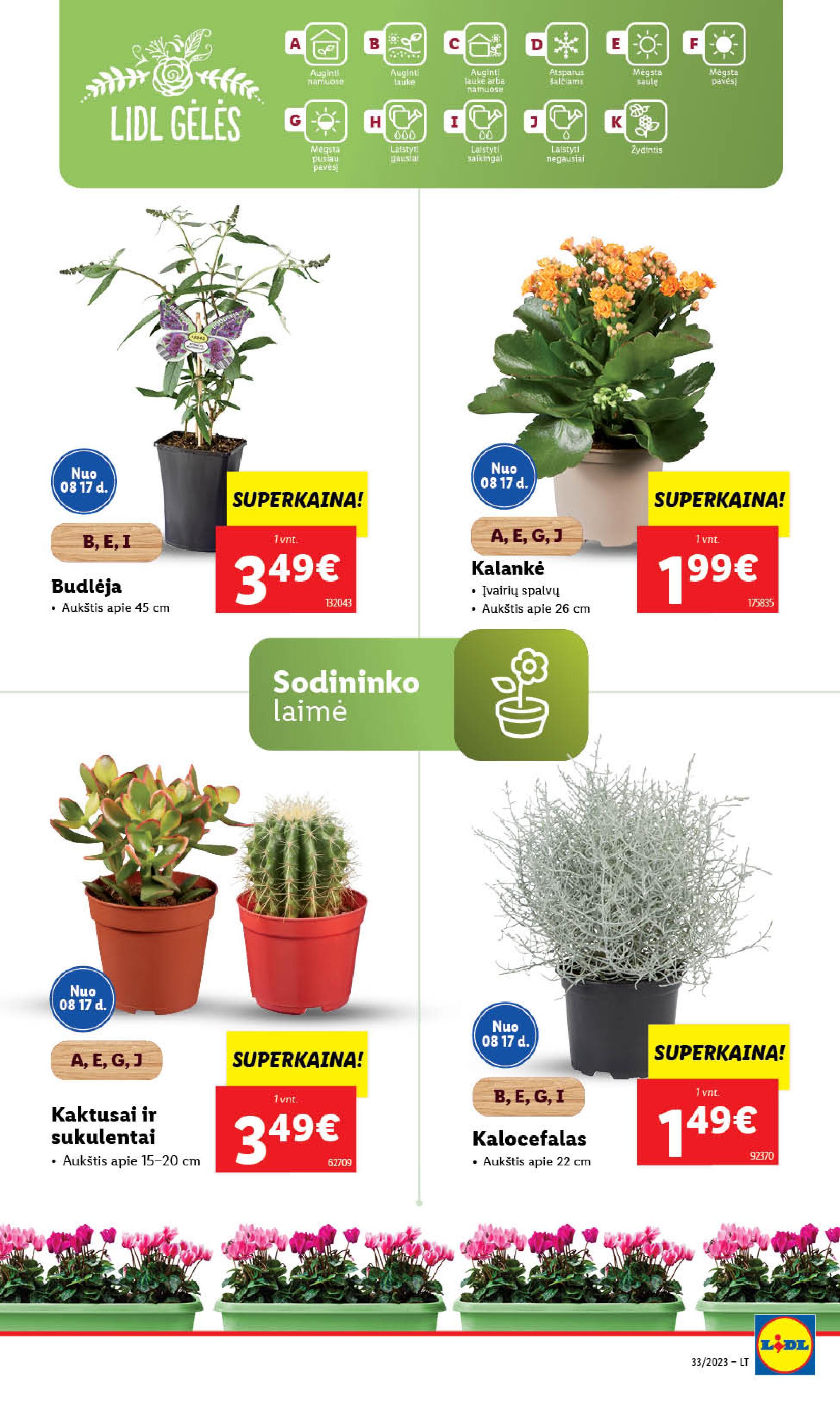 Naujausias LIDL kaininis katalogas 2023.08.14 - 2023.08.20