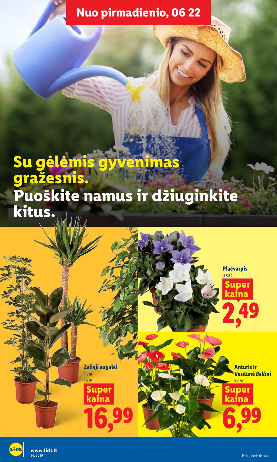 Naujausias LIDL kaininis katalogas 2026.06.22 - 2026.06.28