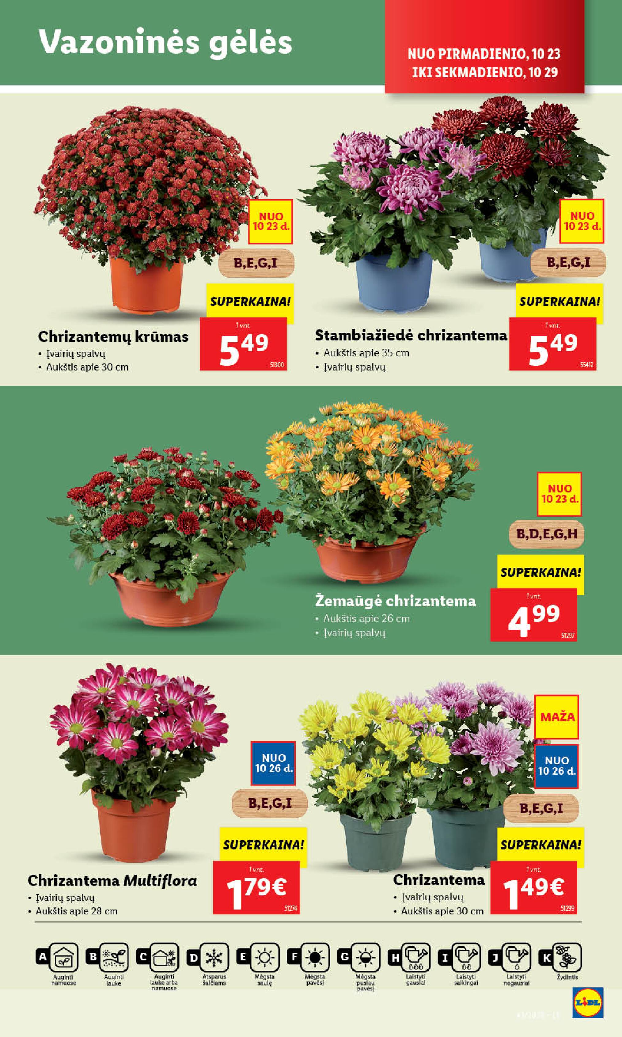 Naujausias LIDL kaininis katalogas 2023.10.23 - 2023.10.29