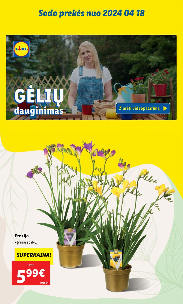LIDL SODO PREKIŲ KATALOGAS "Visi į sodą"