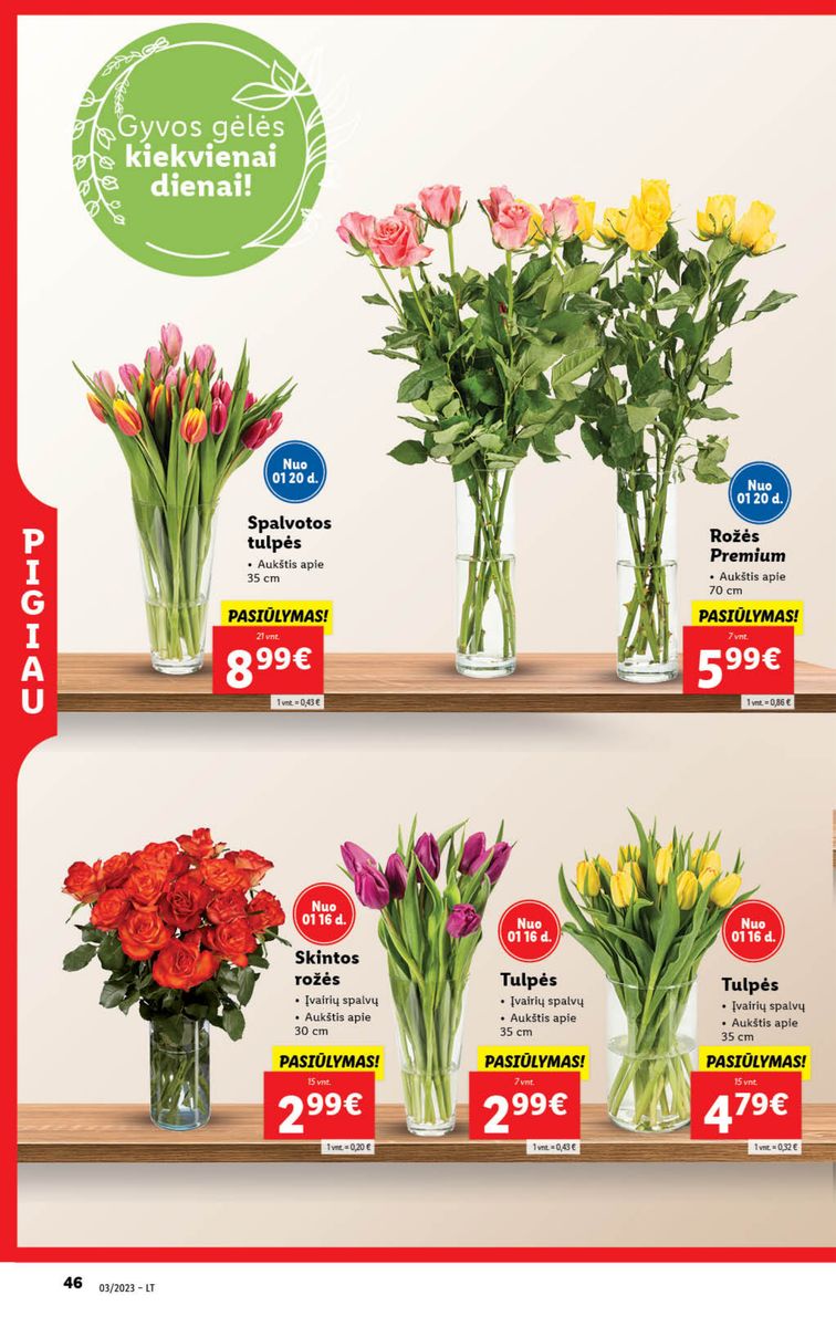 Naujausias LIDL kaininis katalogas 2023.01.16 - 2023.01.22
