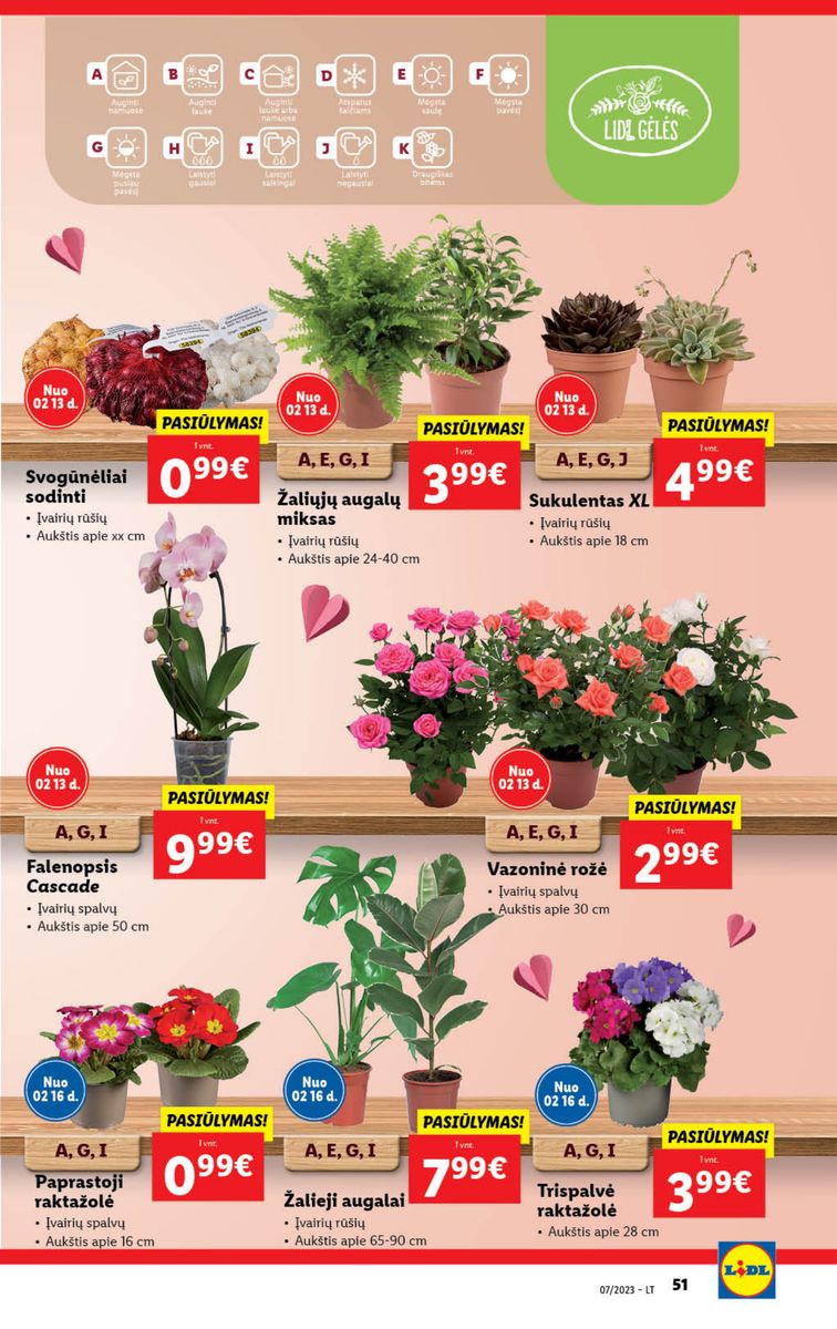 Naujausias LIDL kaininis katalogas 2023.02.13 - 2023.02.19 