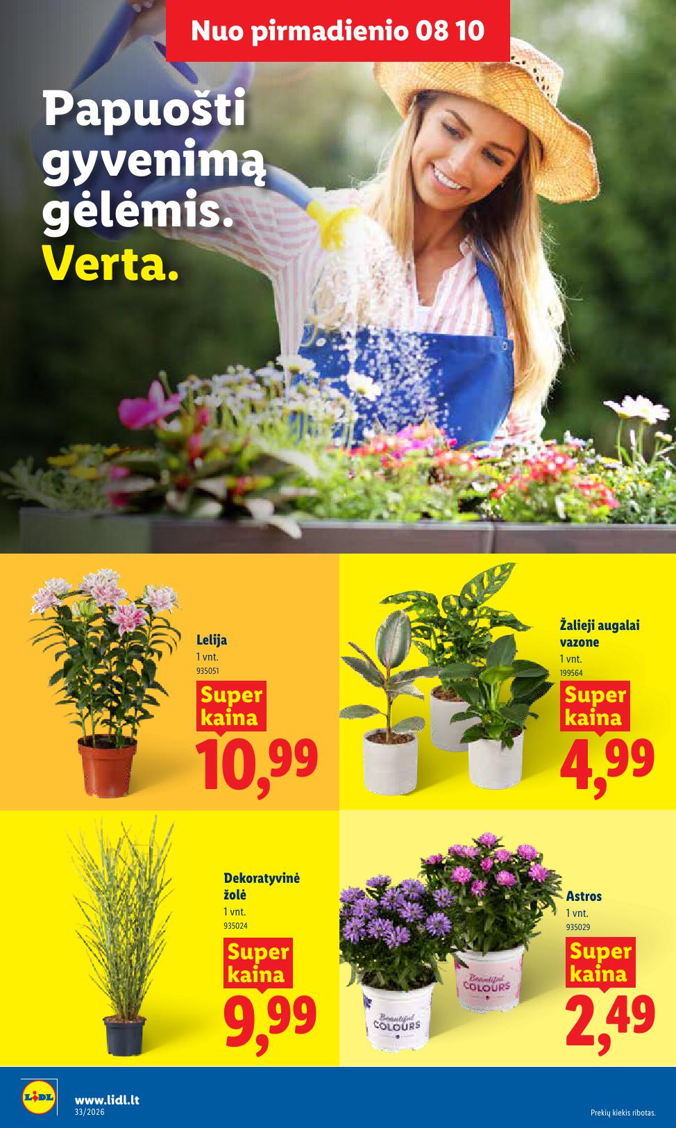 Naujausias LIDL kaininis katalogas 2026.08.10 - 2026.08.16