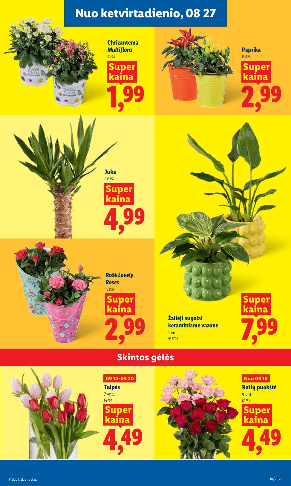 Naujausias LIDL kaininis katalogas 2026.09.14 - 2026.09.20
