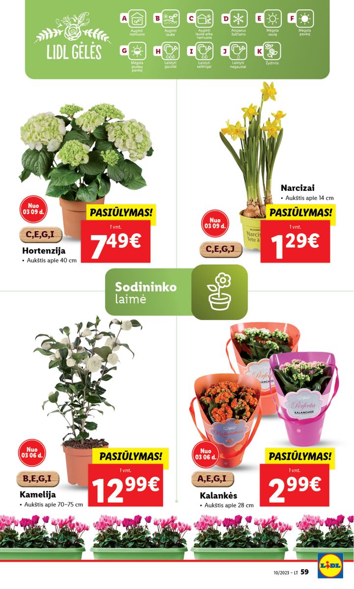 Naujausias LIDL kaininis katalogas 2023.03.06 - 2023.03.12
