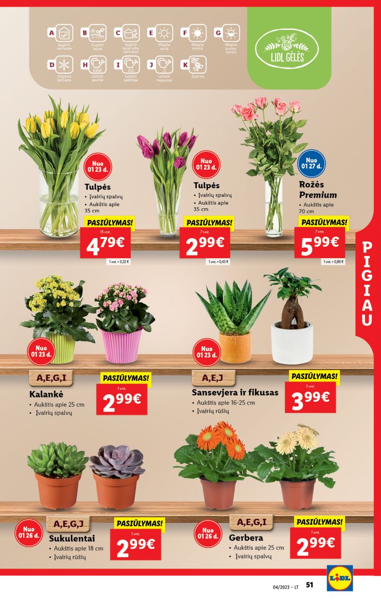 Naujausias LIDL kaininis katalogas 2023.01.23 - 2023.01.29