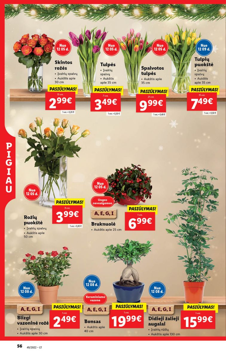 Naujausias LIDL kaininis katalogas 2022.12.05 - 2022.12.11