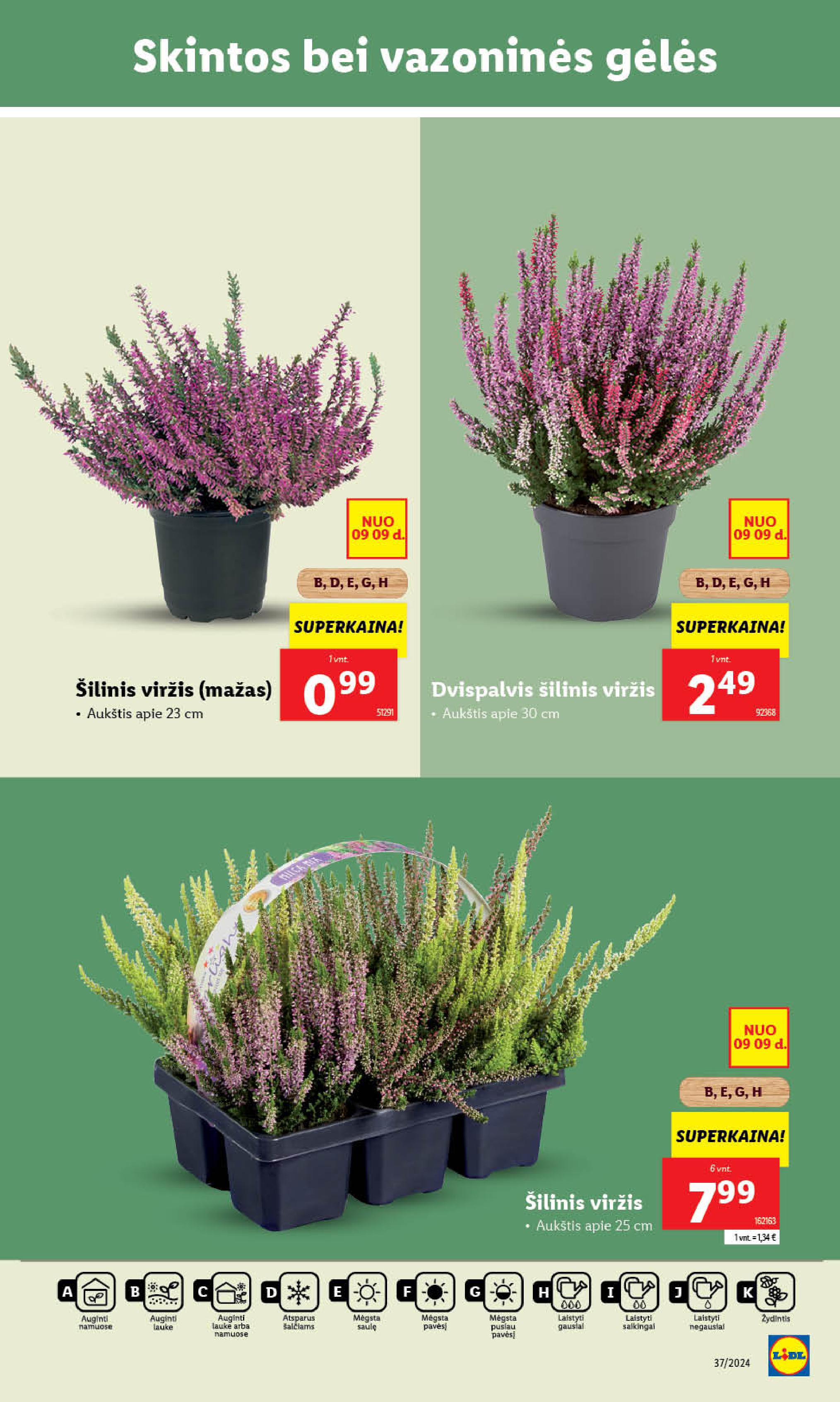 Naujausias LIDL kaininis katalogas 2024.09.09 - 2024.09.15