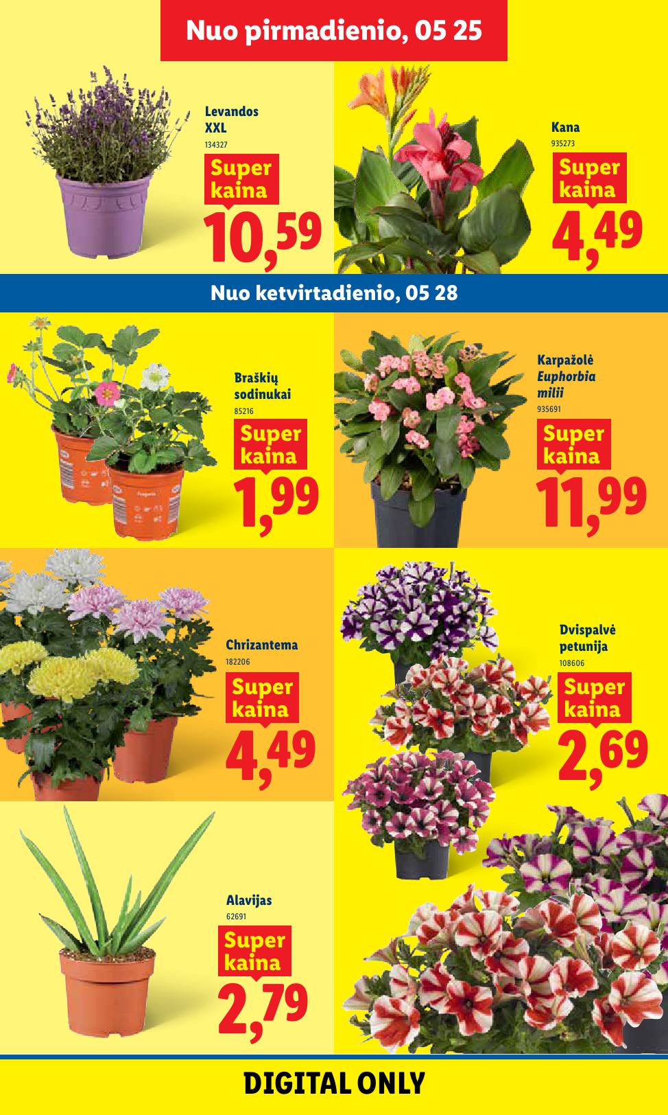 Naujausias LIDL kaininis katalogas 2026.05.25 - 2026.05.31