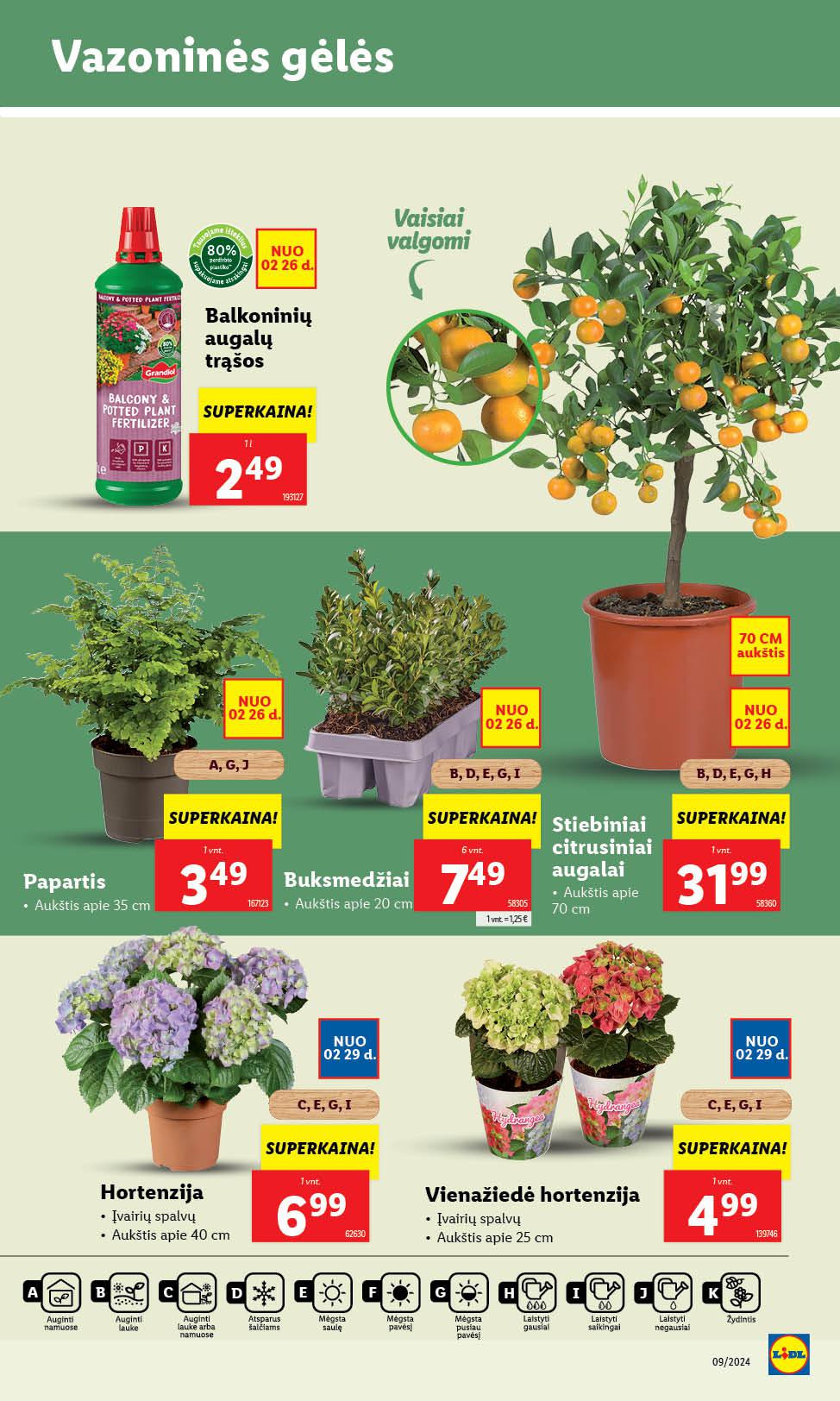 Naujausias LIDL kaininis katalogas 2024.02.26 - 2024.03.03