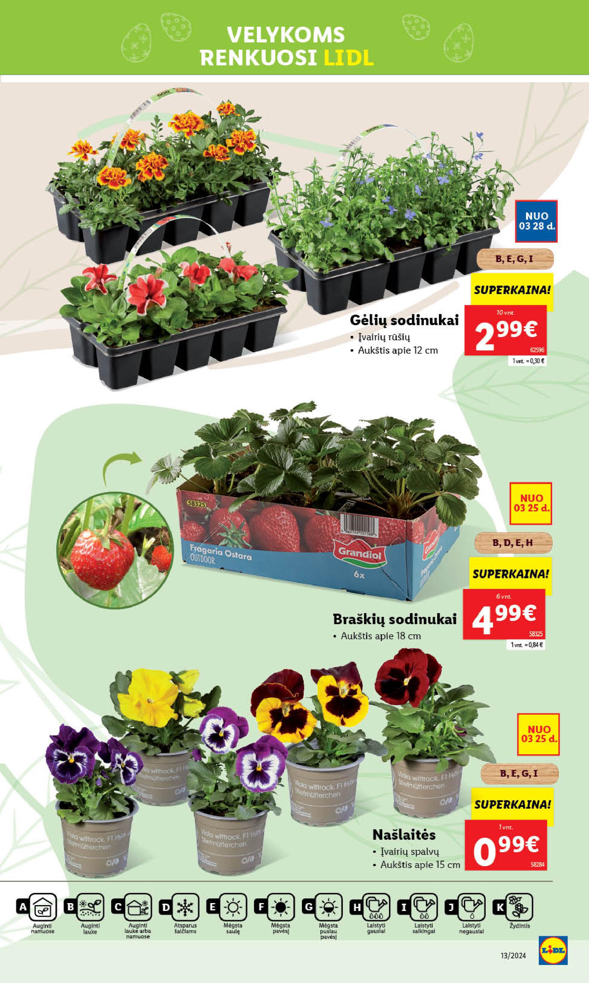 Naujausias LIDL kaininis katalogas 2024.03.25 - 2024.03.30