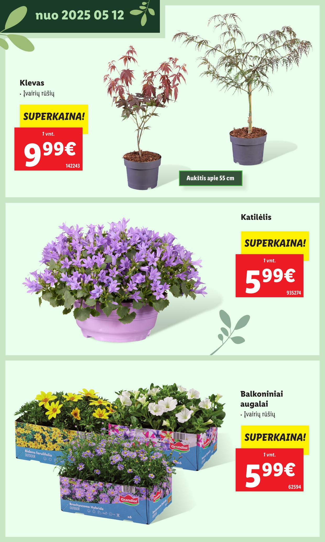 LIDL katalogas "Švenčiame sodą" galioja nuo 2025.05.12