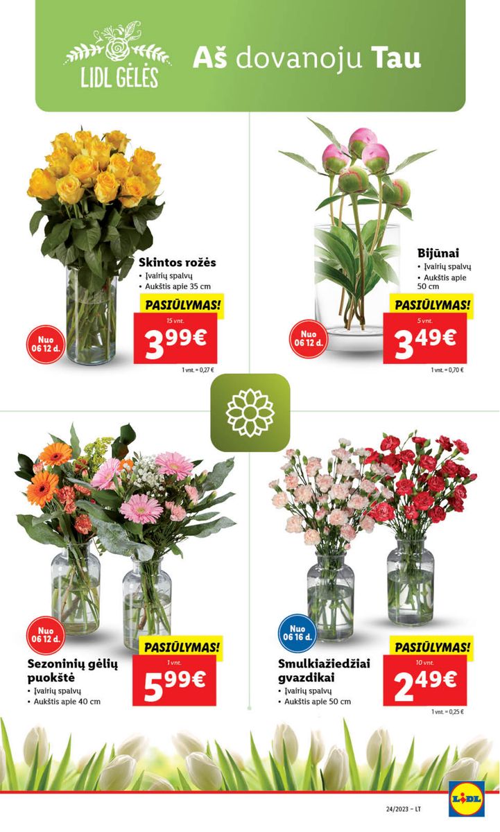 Naujausias LIDL kaininis katalogas 2023.06.12 - 2023.06.18