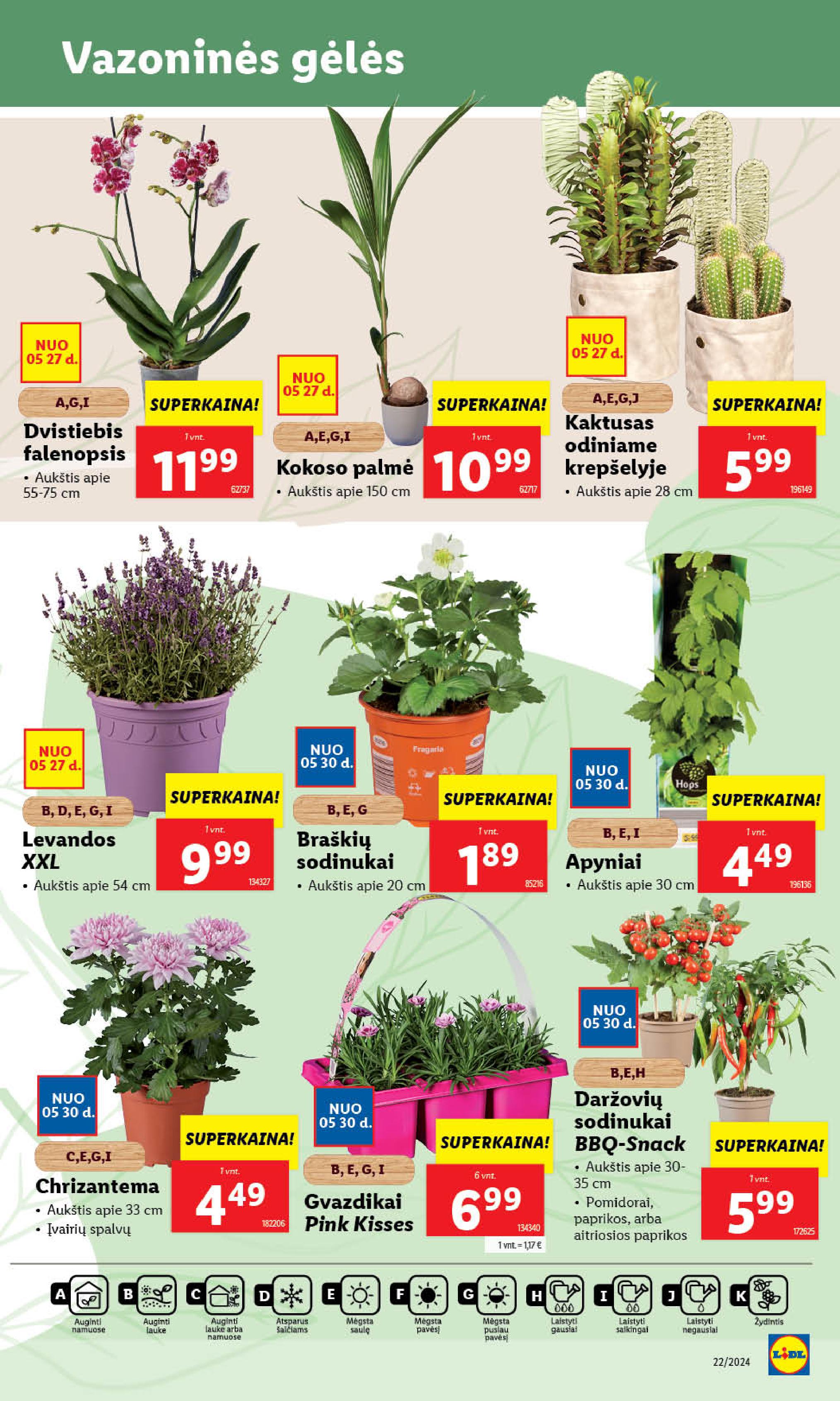 Naujausias LIDL kaininis katalogas 2024.05.27 - 2024.06.02