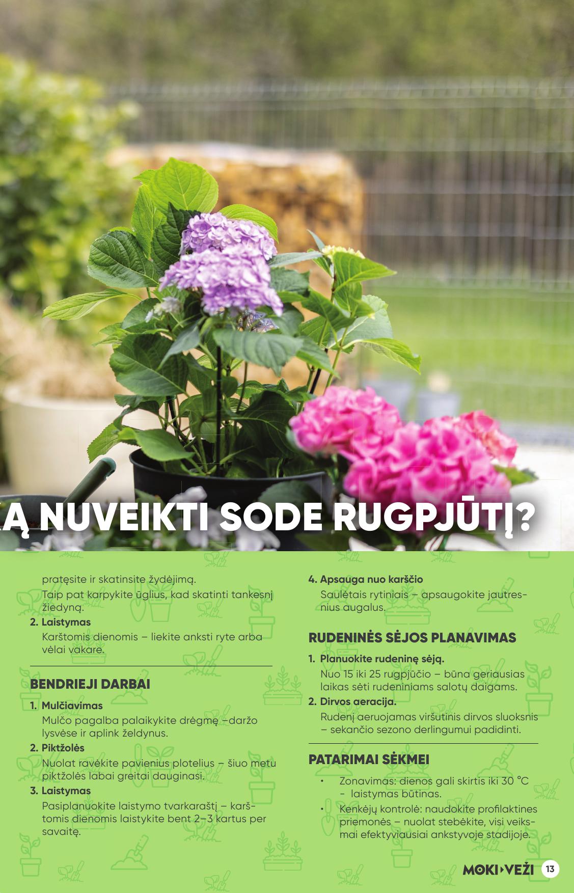MOKI VEŽI akcijų ir nuolaidų leidinys Nr.8 2025.07.24 - 2025.08.19