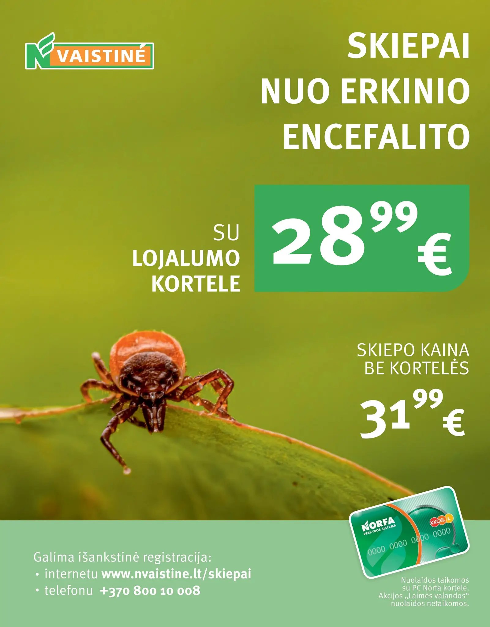 Naujas NORFOS vaistinės leidinys nuo 2026.08.01 - 2026.08.31