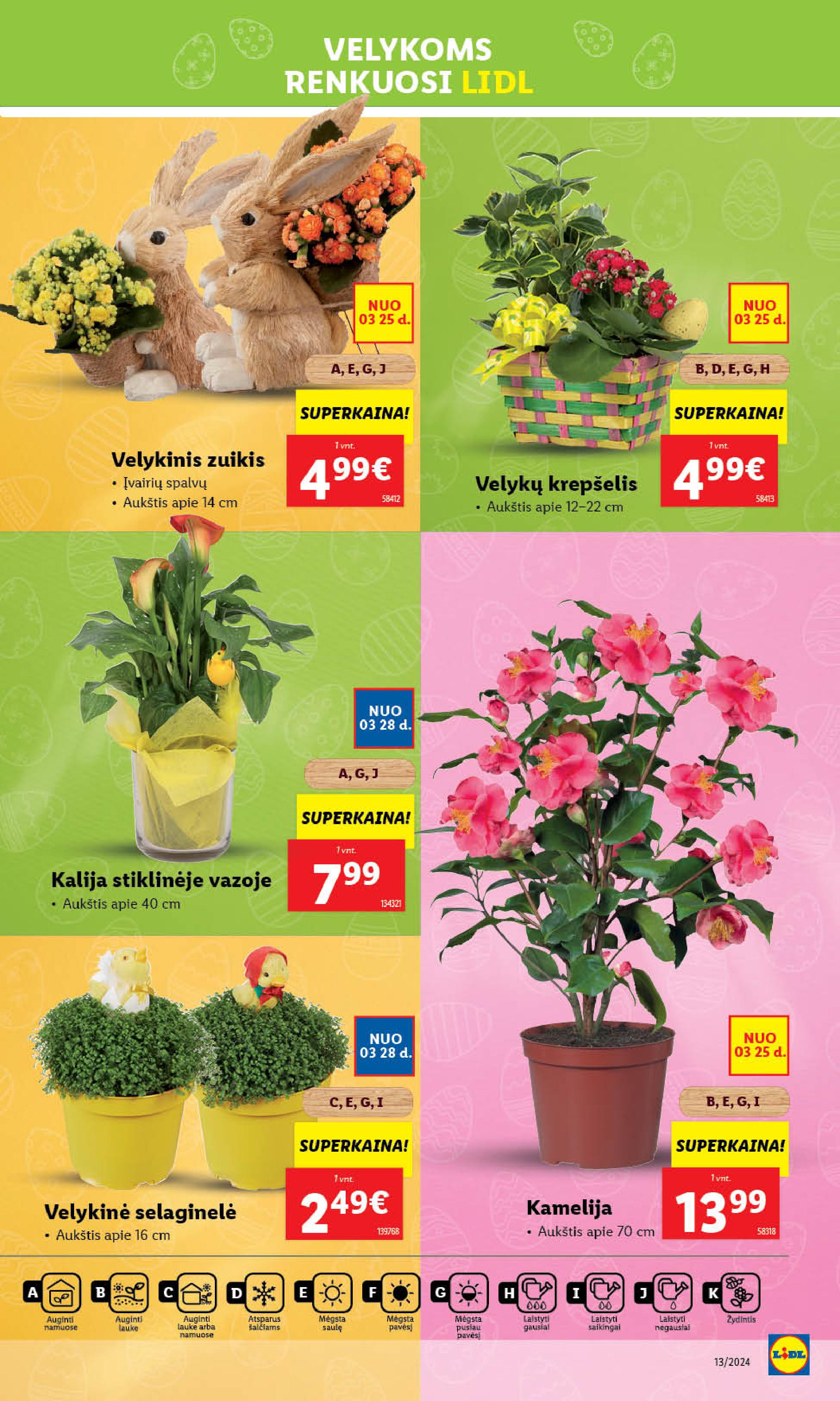 Naujausias LIDL kaininis katalogas 2024.03.25 - 2024.03.30