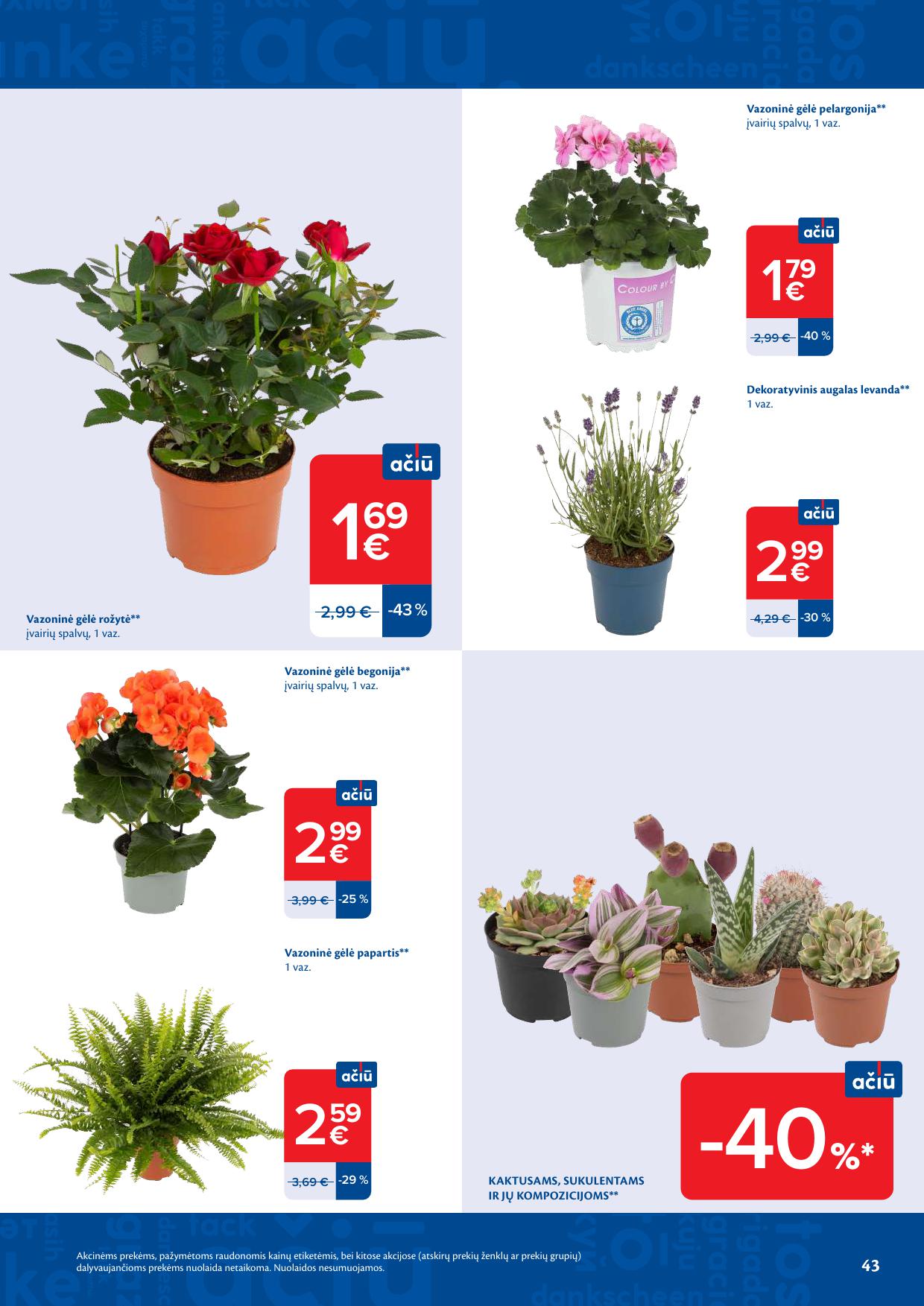 MAXIMA akcijų ir nuolaidų leidinys Nr.25 2026.06.16 - 2026.06.22