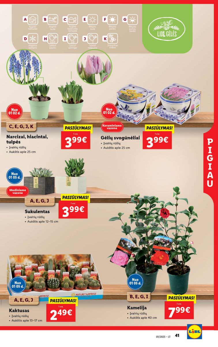 Naujausias LIDL kaininis katalogas 2023.01.02 - 2023.01.08