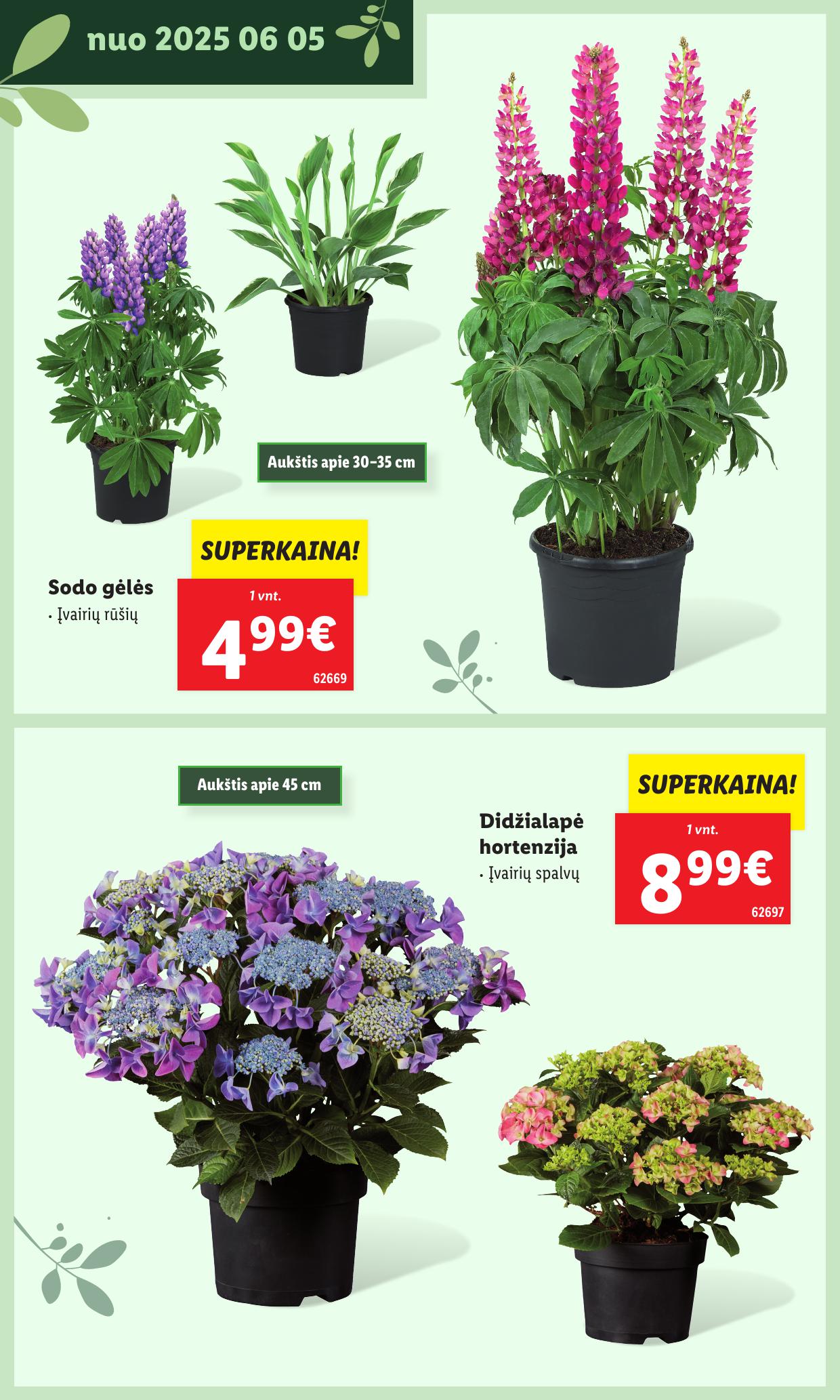 LIDL katalogas "Švenčiame sodą" galioja nuo 2025.05.12