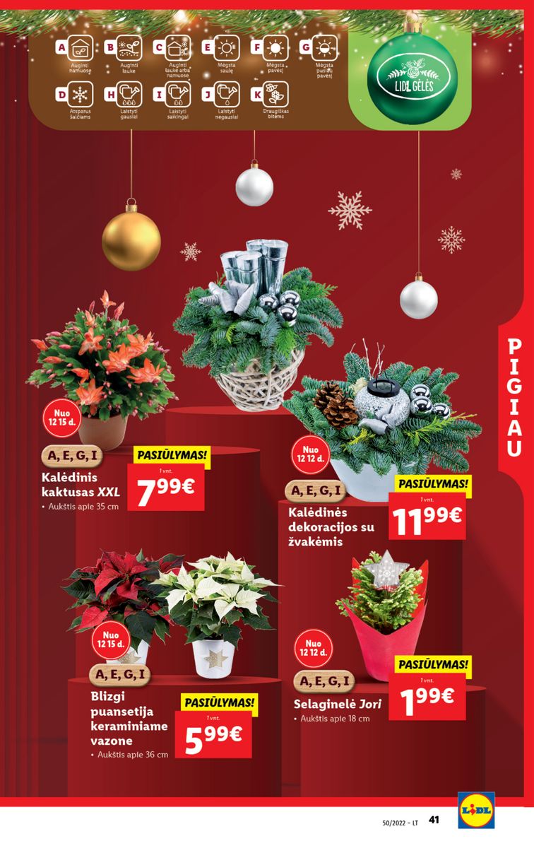 Naujausias LIDL kaininis katalogas 2022.12.12 - 2022.12.18