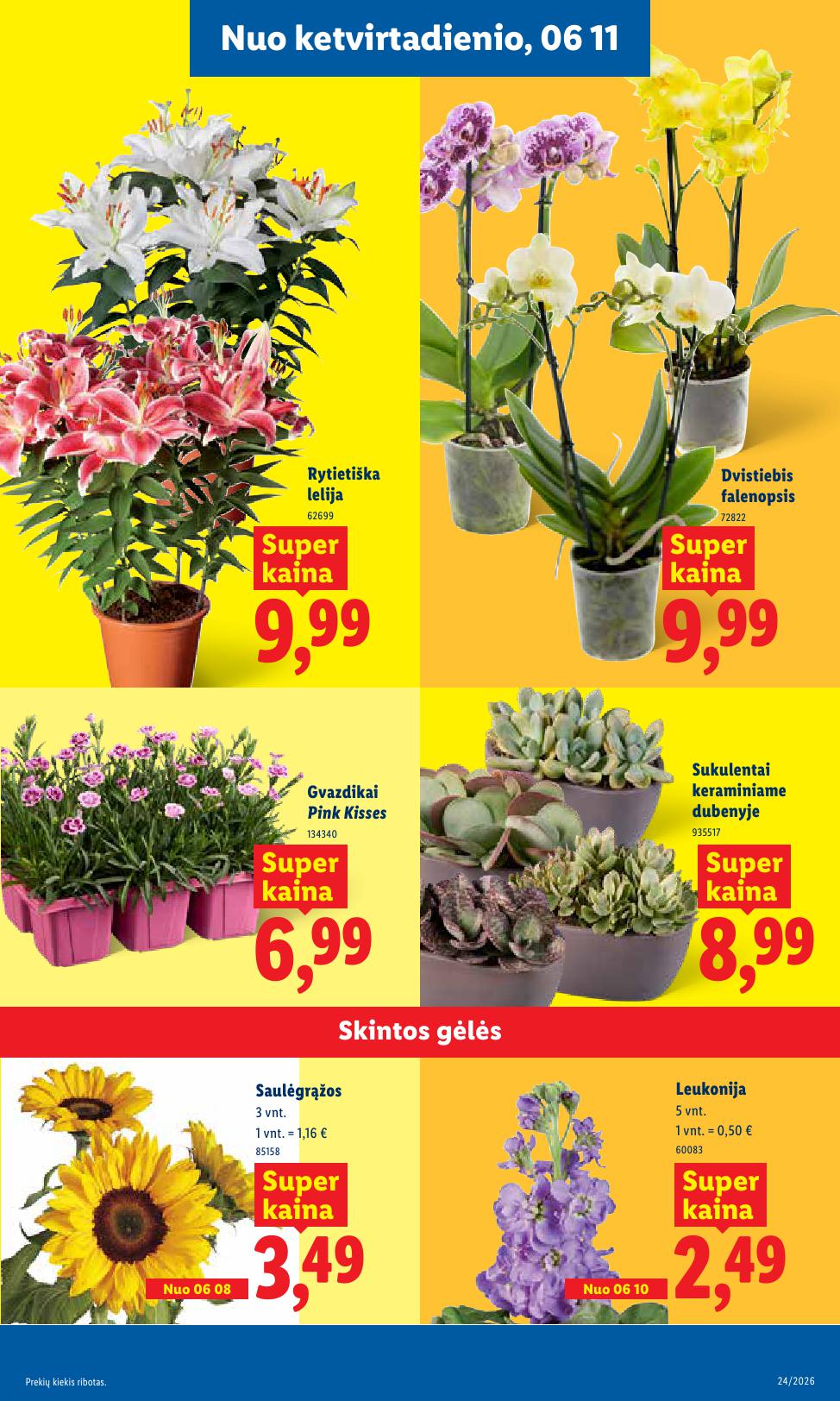 Naujausias LIDL kaininis katalogas 2026.06.08 - 2026.06.14