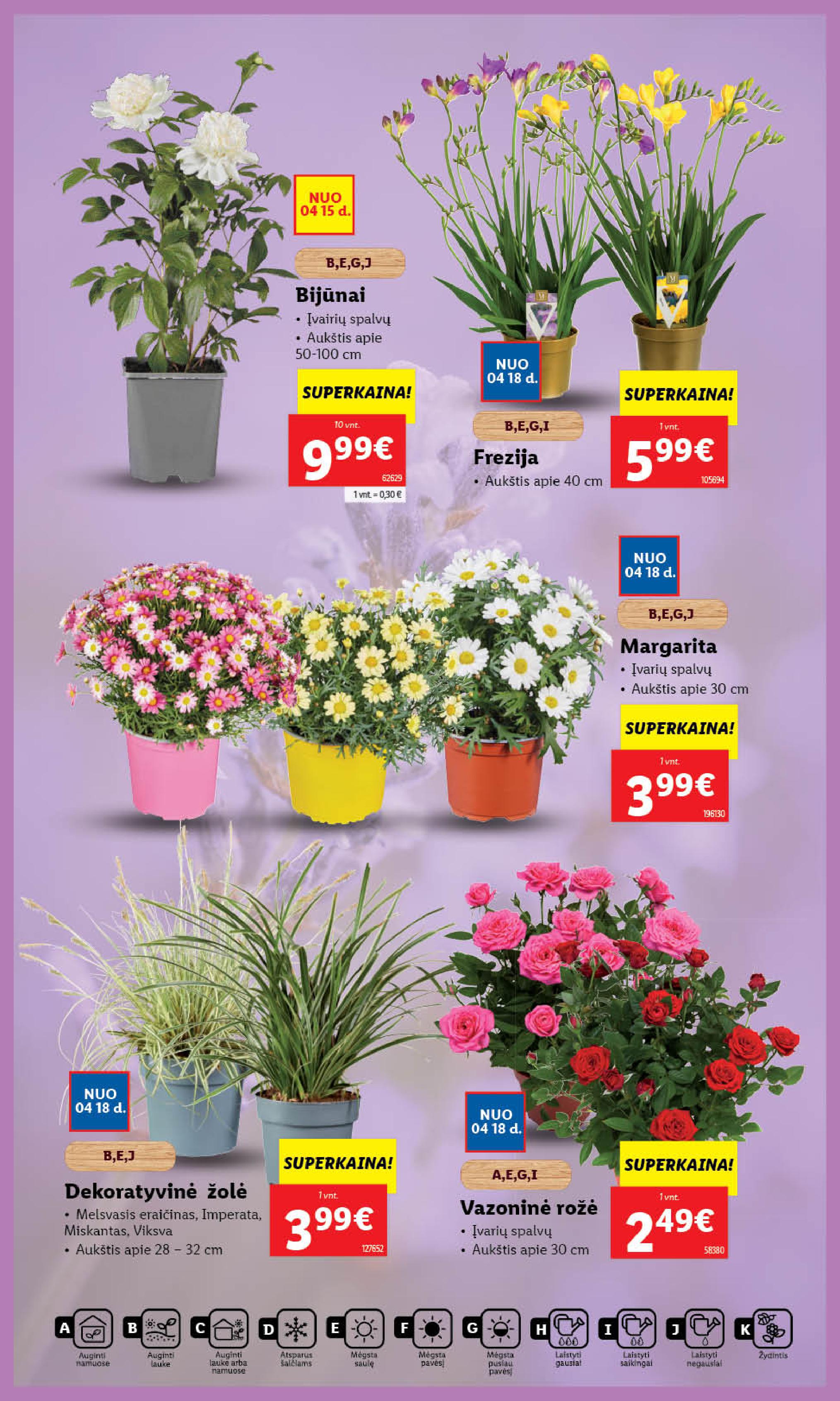 Naujausias LIDL kaininis katalogas 2024.04.15 - 2024.04.21