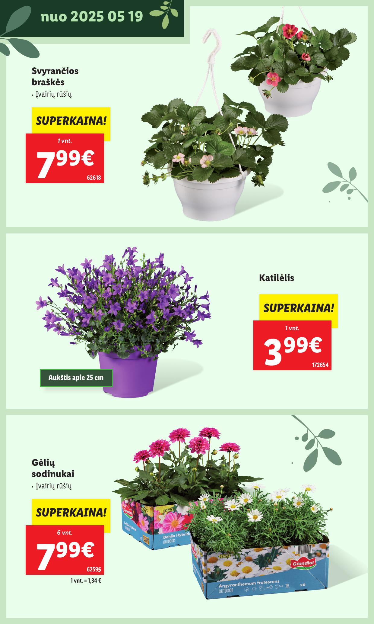 LIDL katalogas "Švenčiame sodą" galioja nuo 2025.05.12