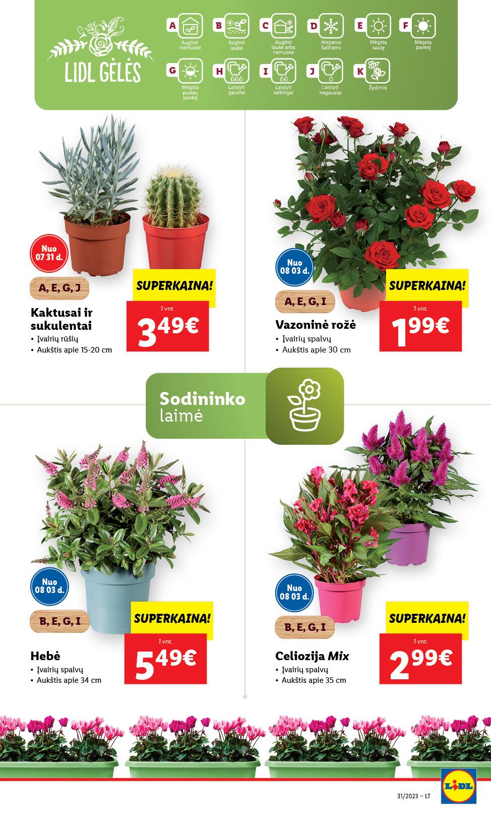 Naujausias LIDL kaininis katalogas 2023.07.31 - 2023.08.06