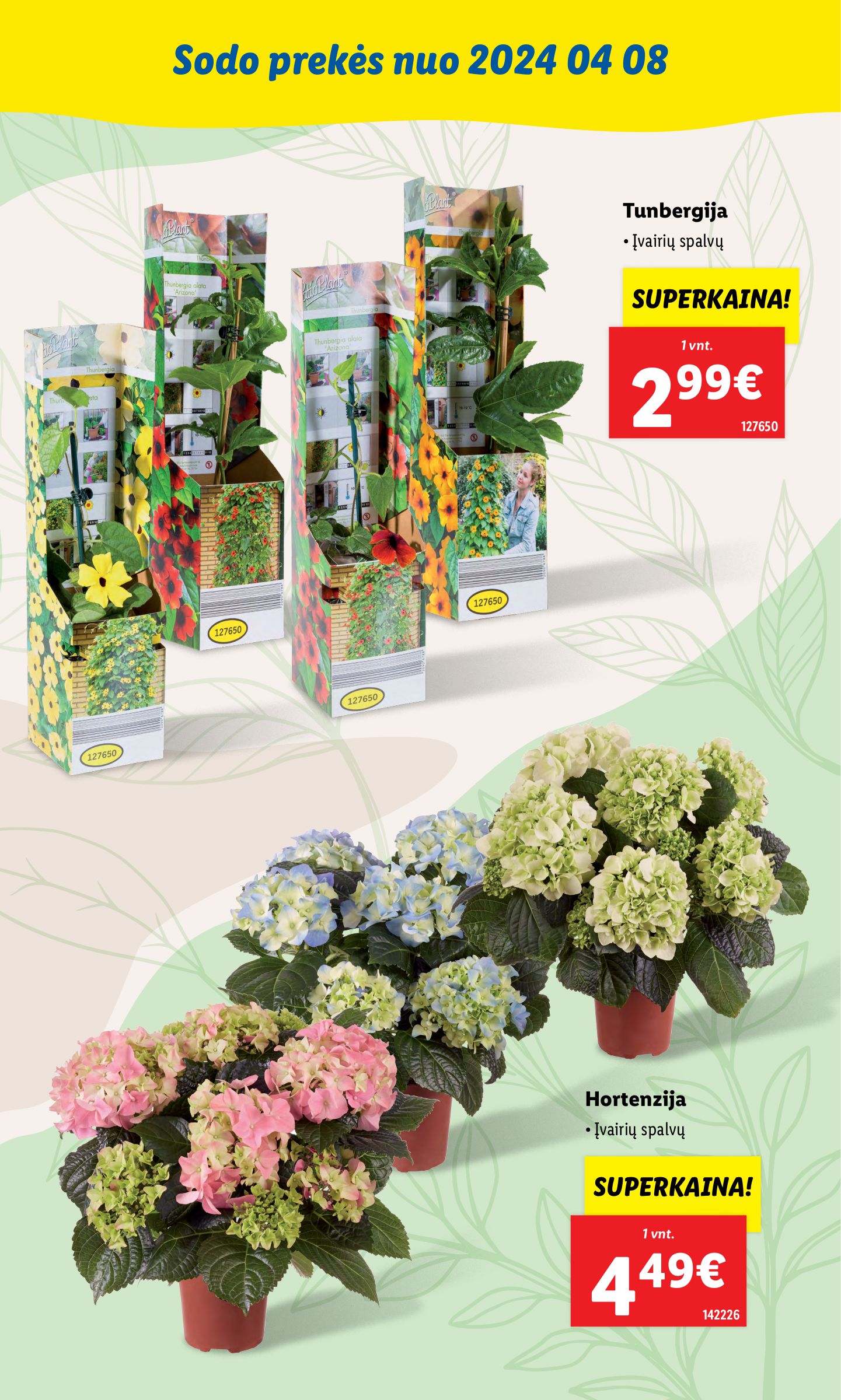 LIDL SODO PREKIŲ KATALOGAS "Visi į sodą"