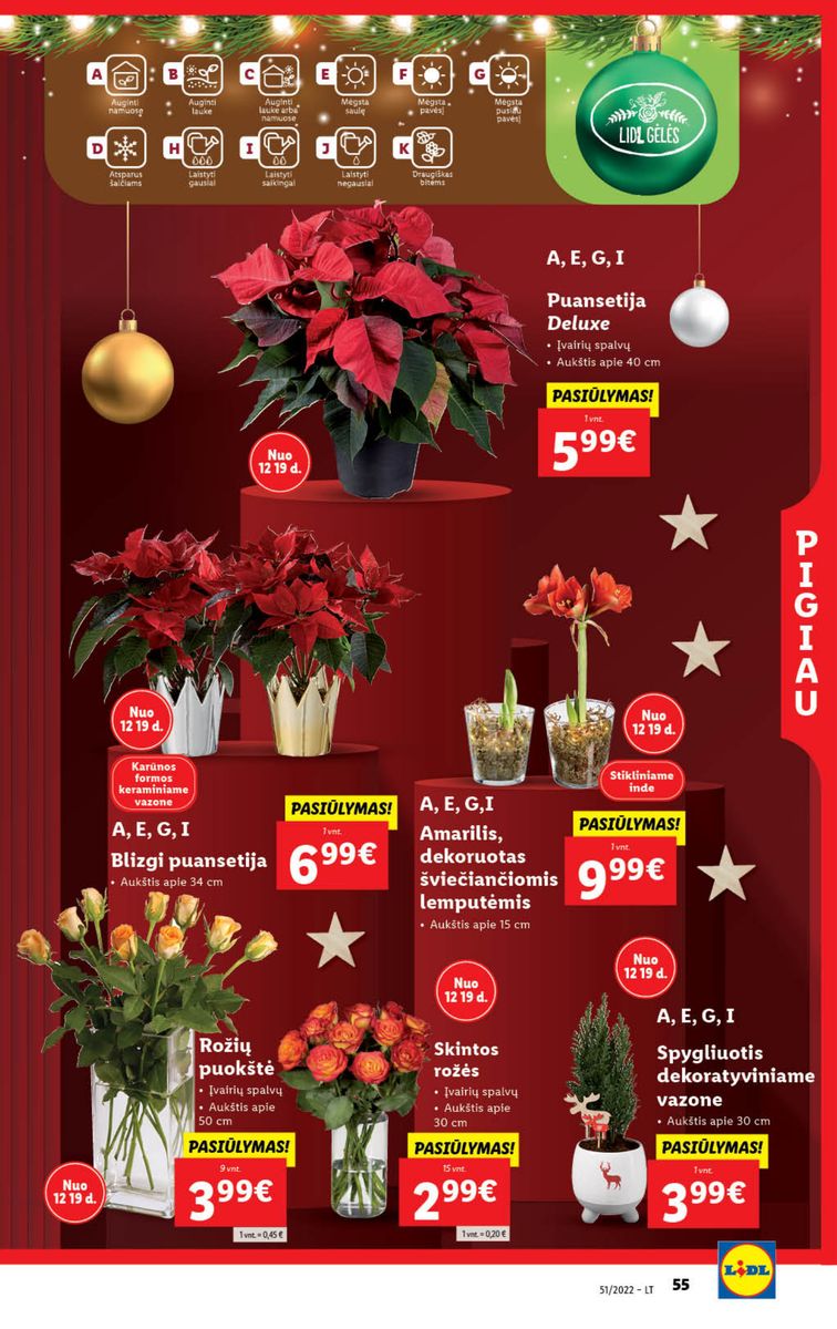 Naujausias LIDL kaininis katalogas 2022.12.19 - 2022.12.25