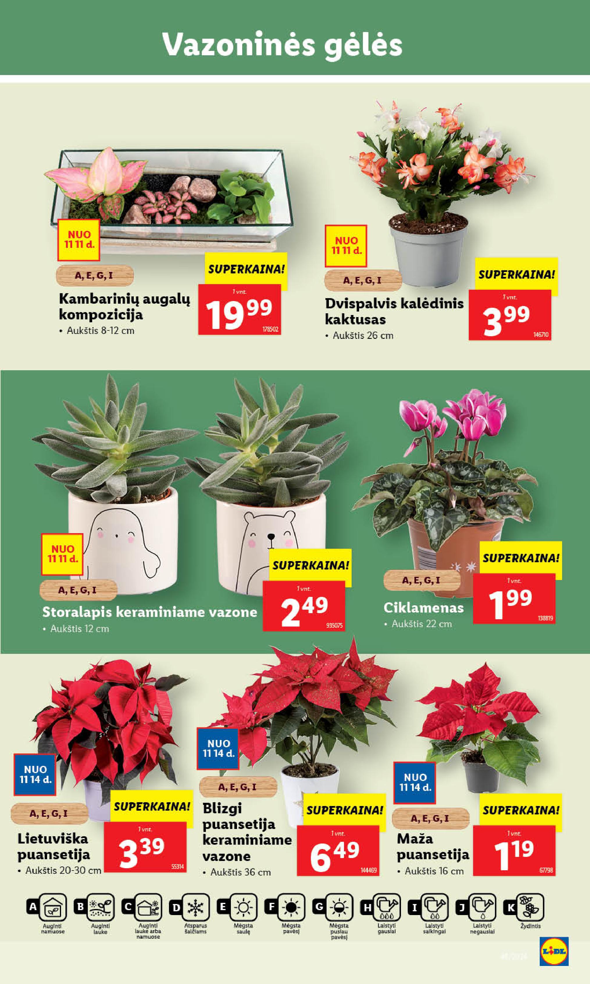 Naujausias LIDL kaininis katalogas 2024.11.11 - 2024.11.17