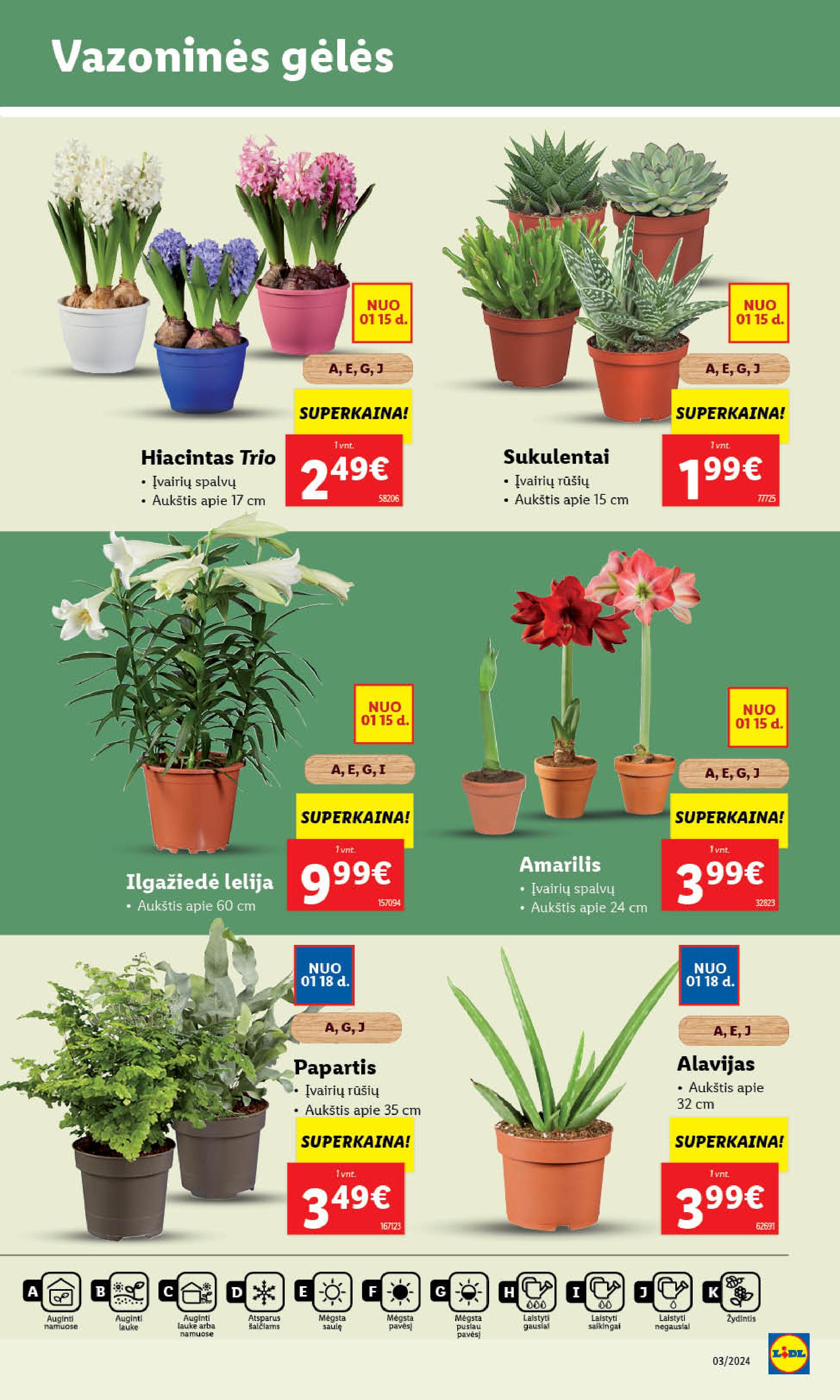 Naujausias LIDL kaininis katalogas 2024.01.15 - 2024.01.21